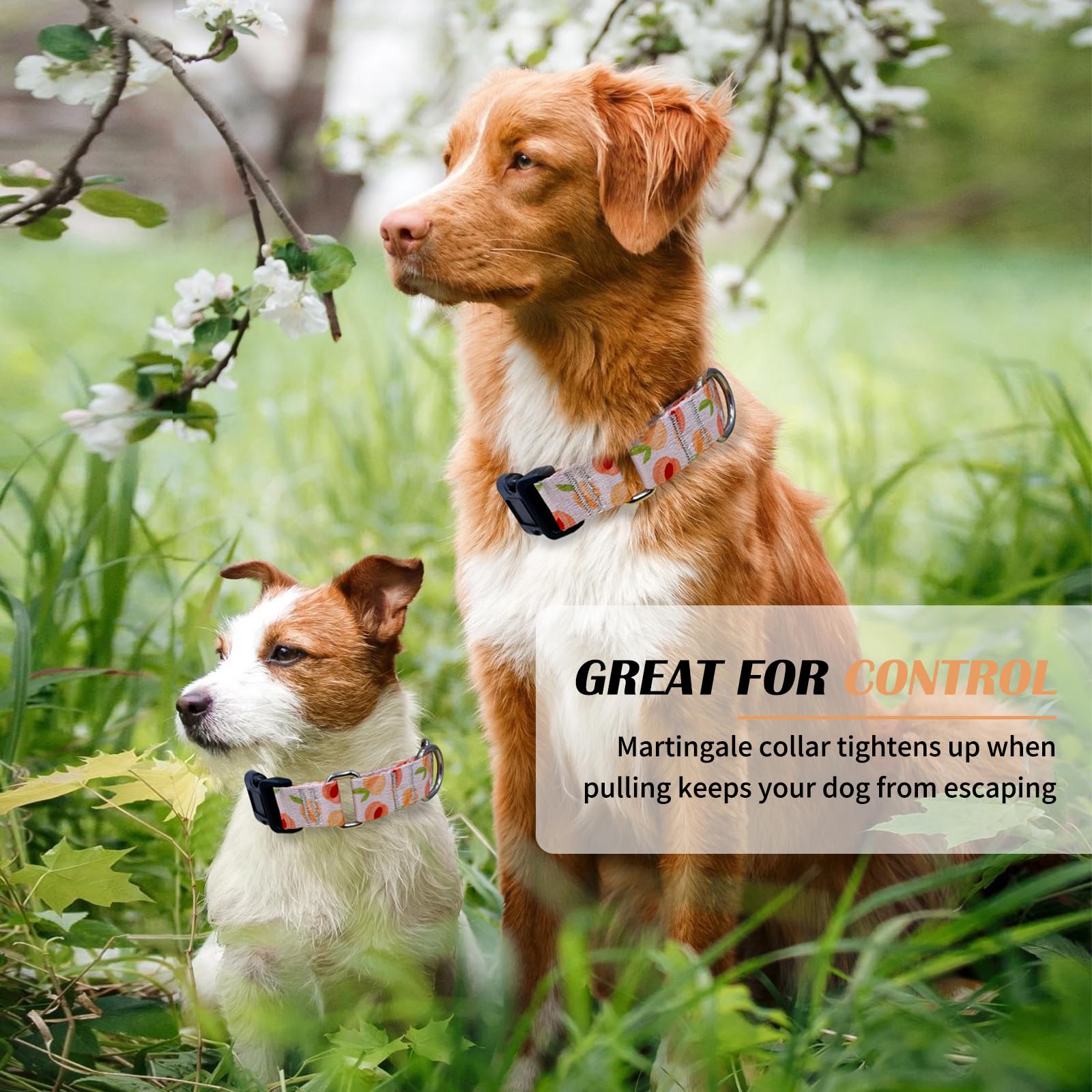 Hikiko Martingale Collar For Dogs Peach Dog Collar For Small Medium Large Dogs Cute Holiday Summer Dog Collars Pet Gift (Peach,L