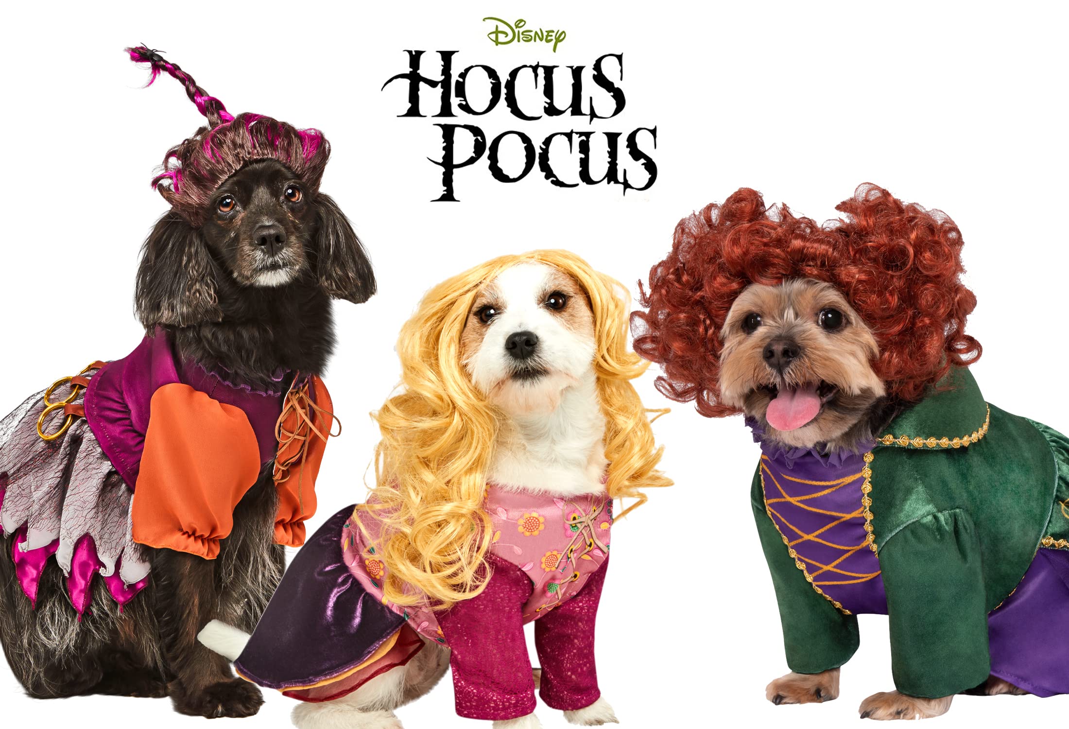 Hocus Pocus: Winifred Pet Costume - Medium