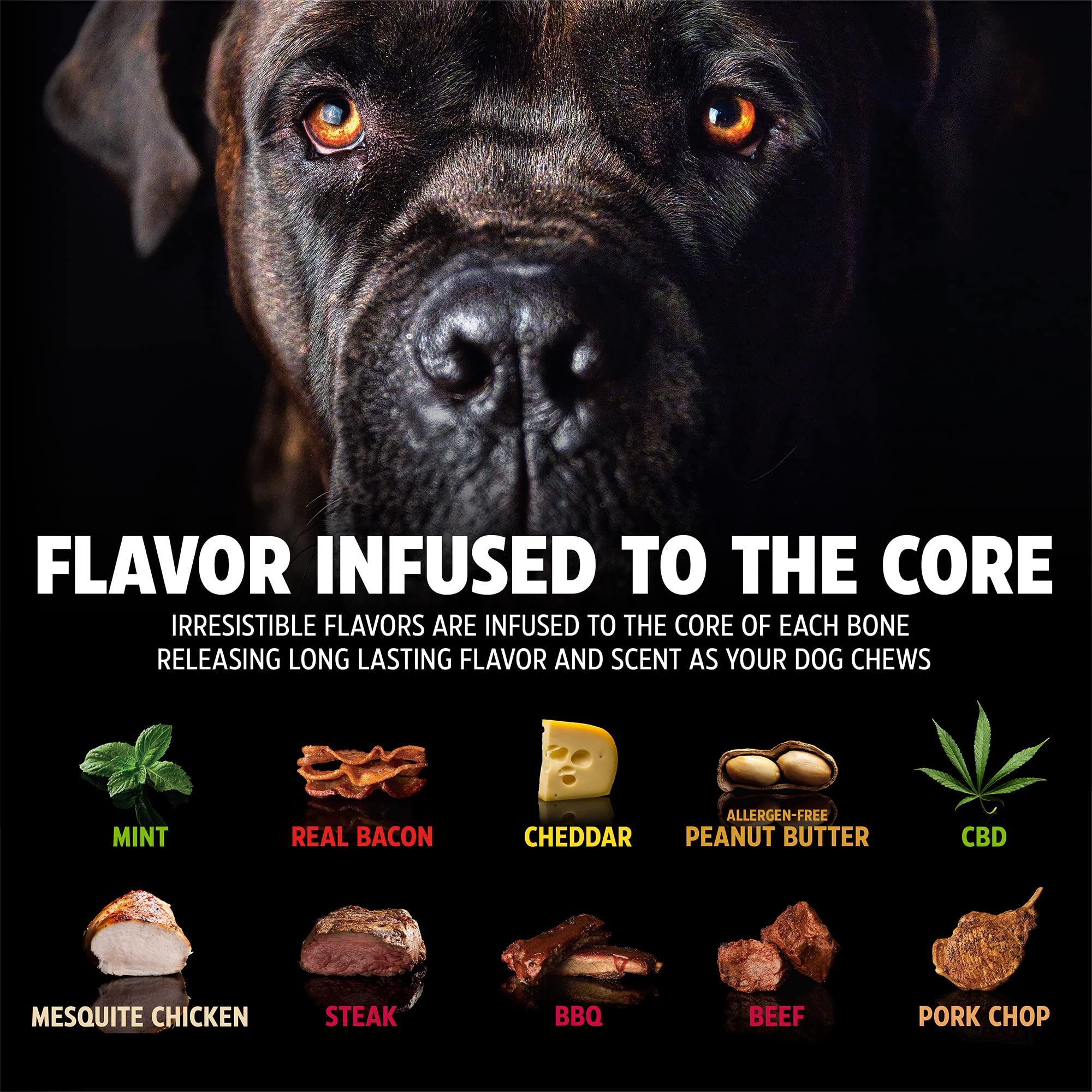 Pet Qwerks Zombie BarkBone - Nylon Dog Bone for Moderate Chewers - Cheddar Cheese Flavor - 9.5
