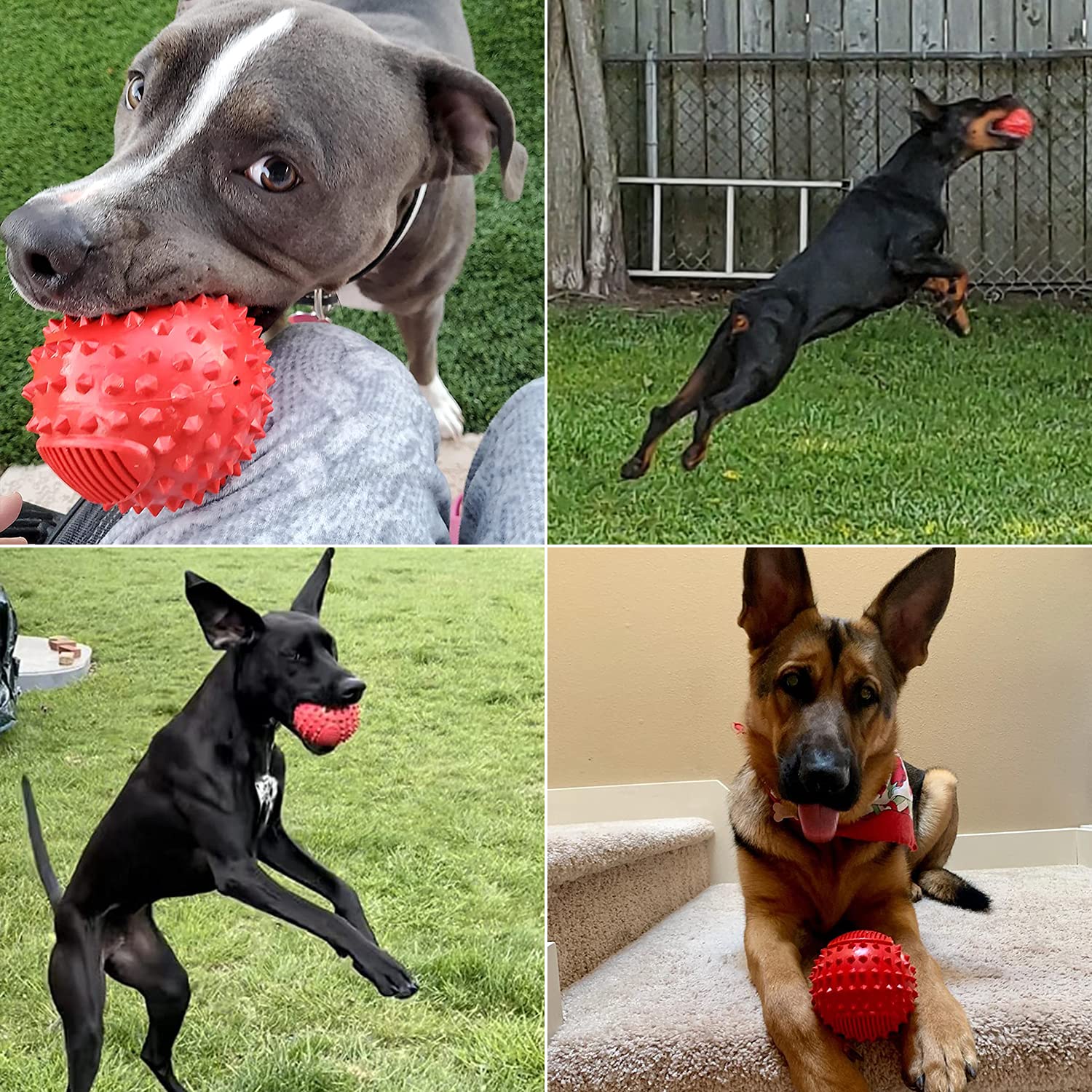 Petizer 4' Squeaky Dog Balls For Aggressive Chewers, Durable Interactive Dog Chew Toys For Teething, Floatable Indestructible Rubber Spiky Ball, Tough Pet Toys For Small, Medium & Large Breeds