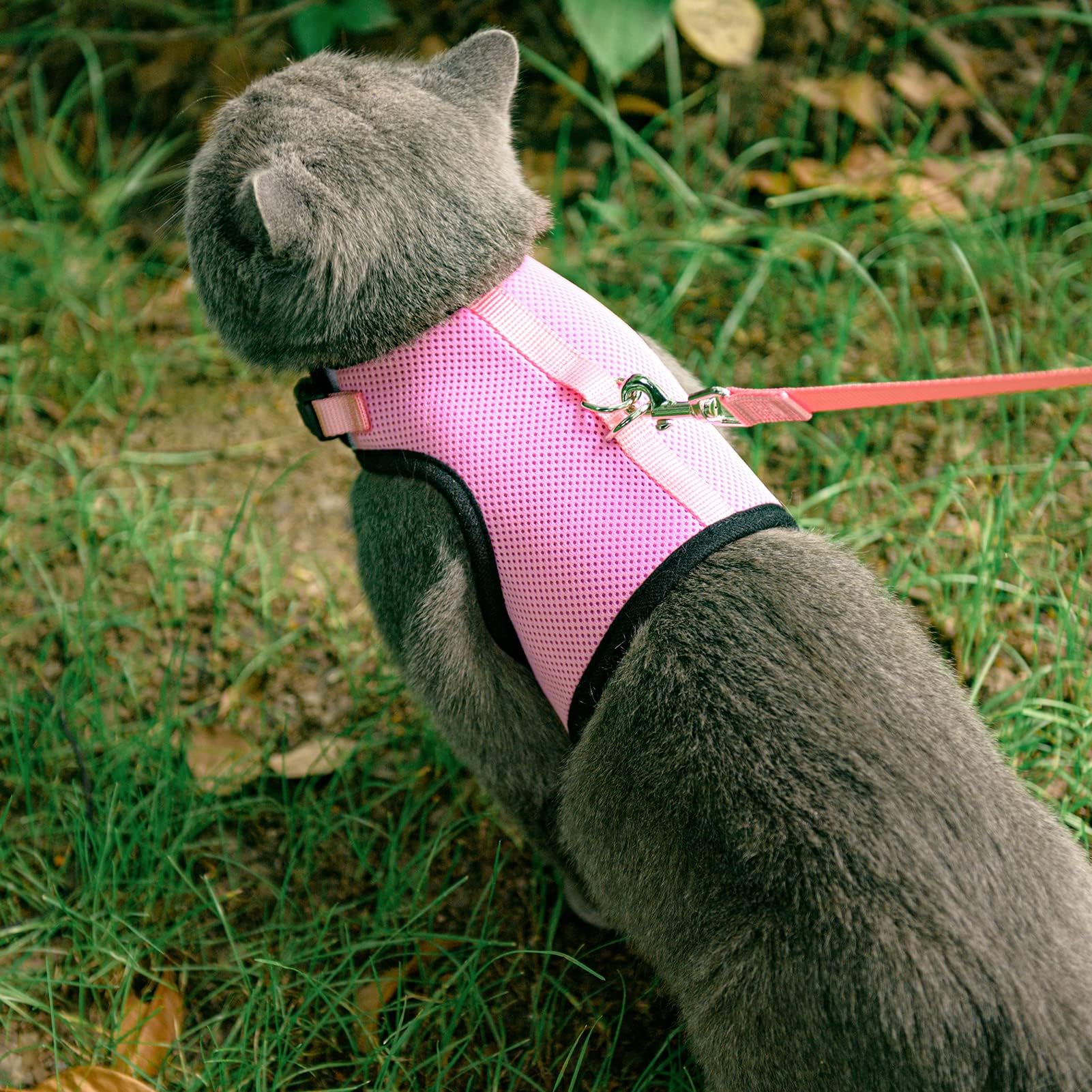Pupteck Soft Mesh Cat Vest Harness And Leash Set Puppy Padded Pet Harnesses Escape Proof For Cats Small Dogs (Small, Pink)
