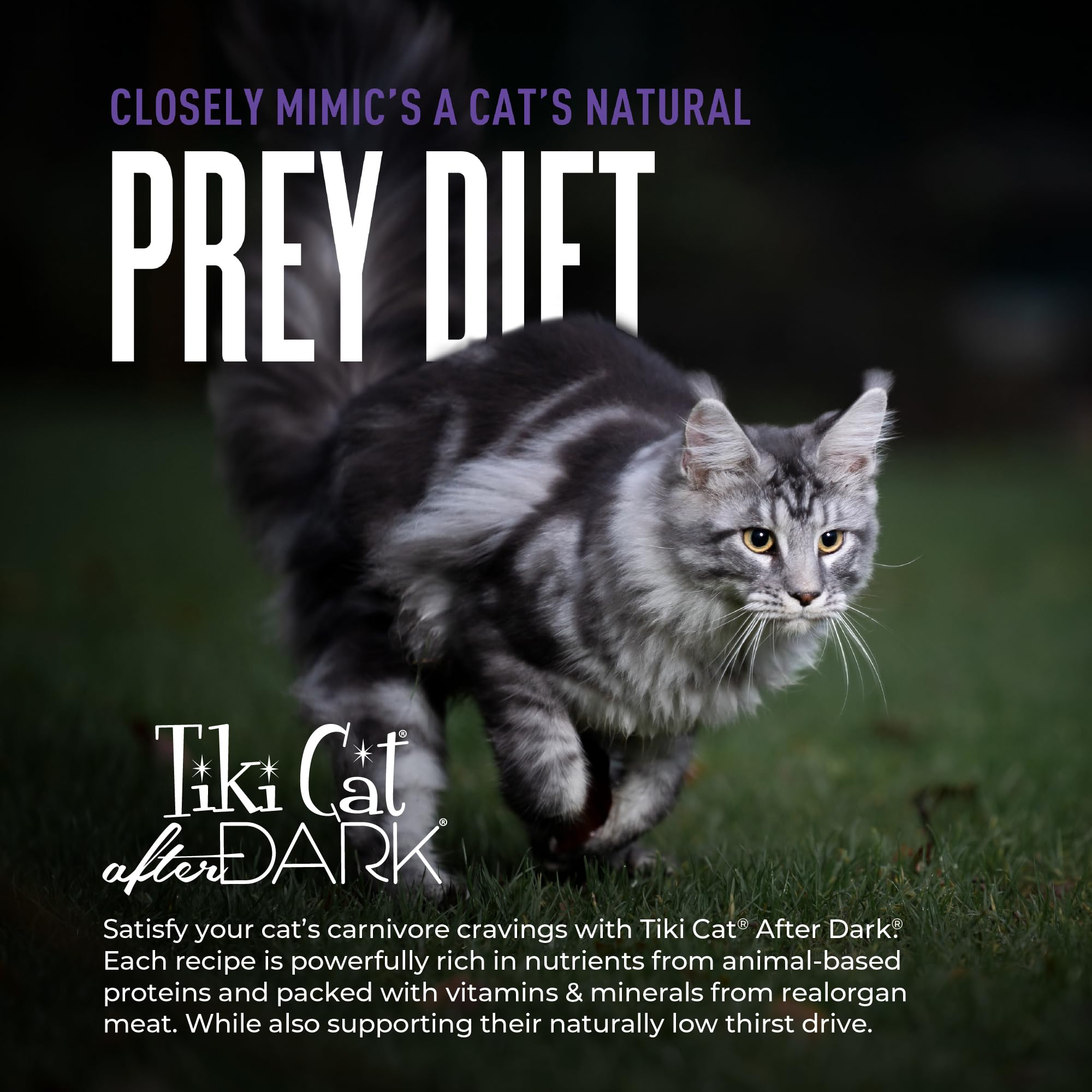 Tiki Cat After Dark Shreds Wet Cat Food, Venison & Beef Liver, 3 oz. Can (12 Count)