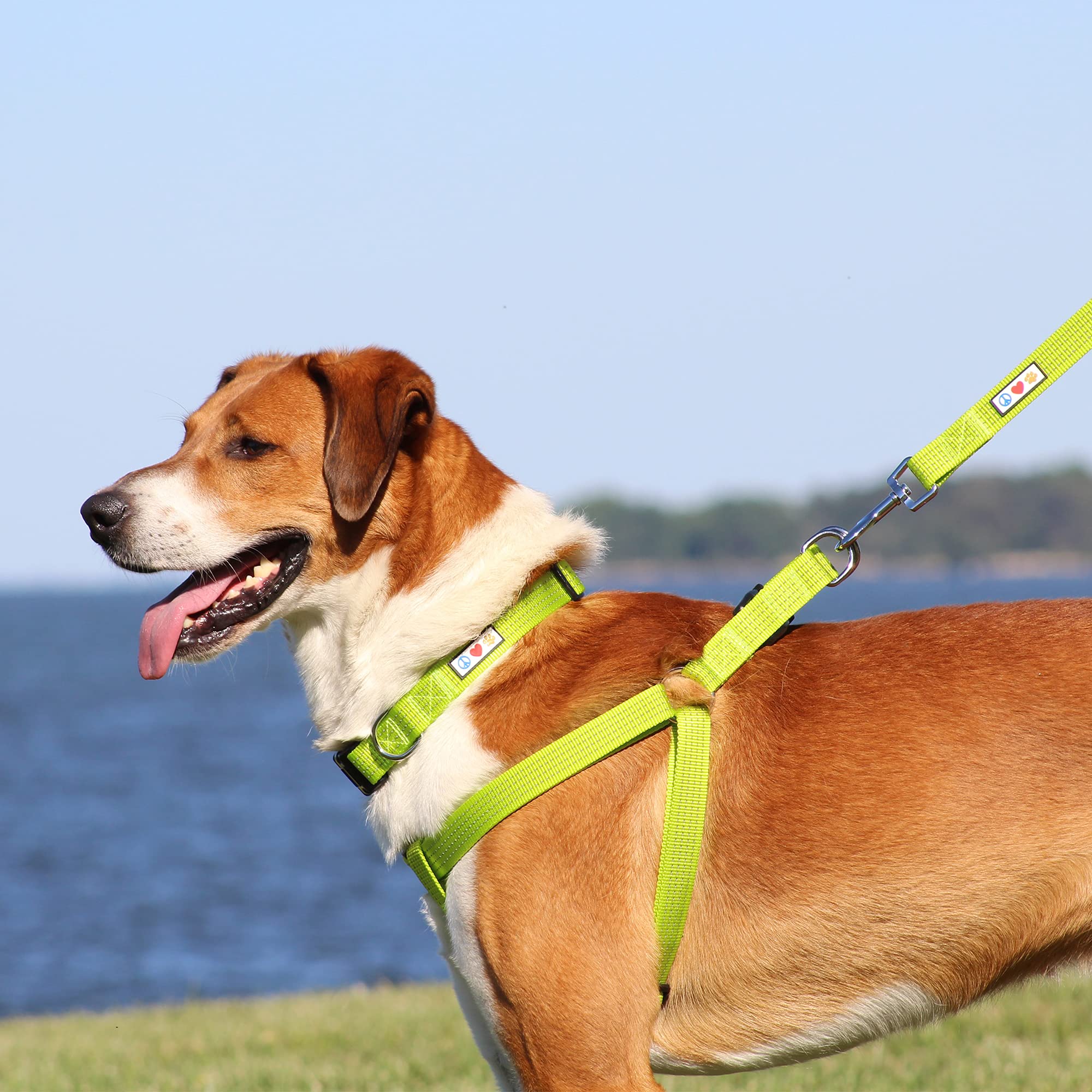 Pawtitas Reflective Step In Dog Harness Or Reflective Harness Training Puppy Harness/Dog Extra Small Dog Harness Xs Camo Pink Dog Harness