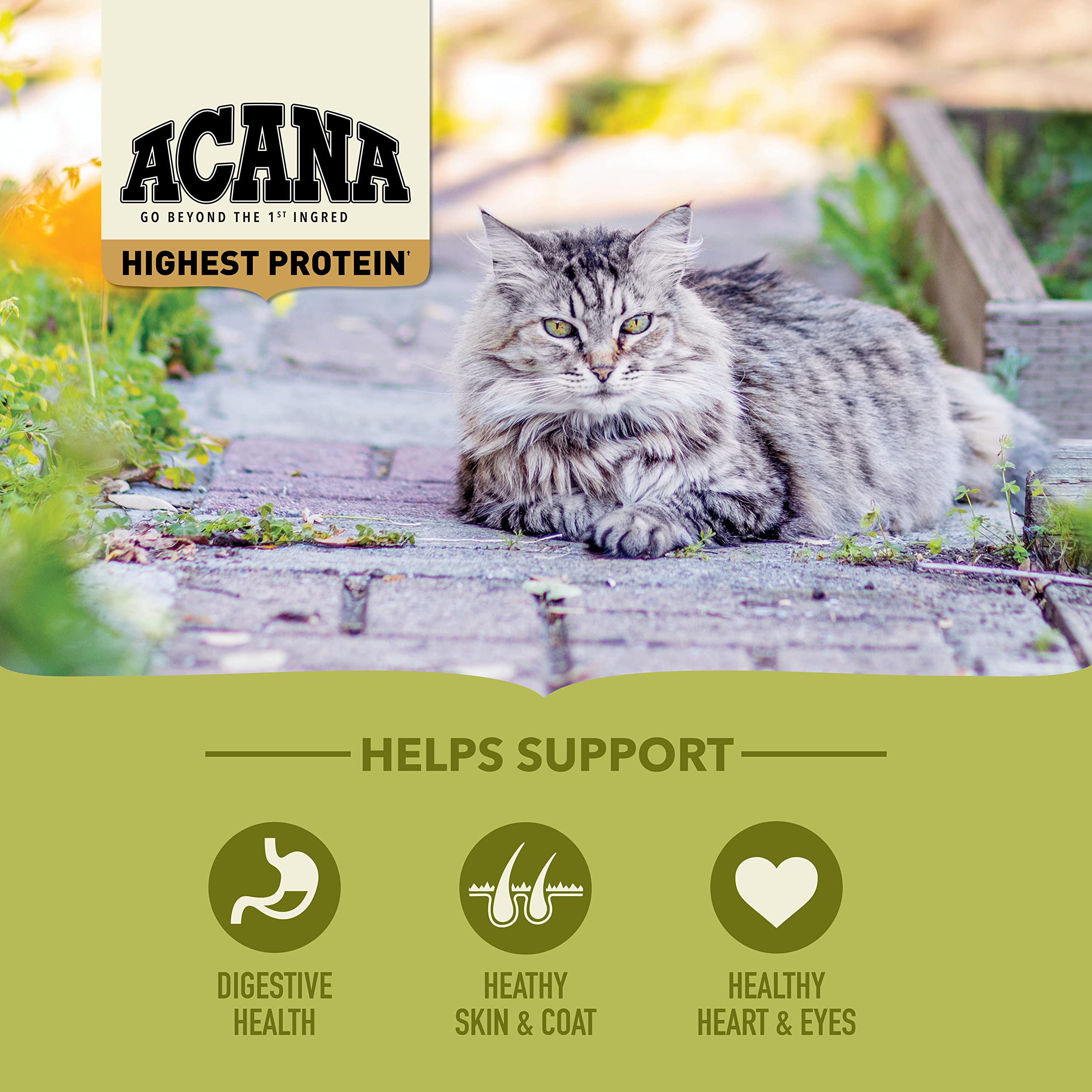 ACANA Highest Protein Grasslands Grain-Free Dry Cat Food, Duck, Free-Run Chicken and Eggs Cat Food Recipe, 10lb