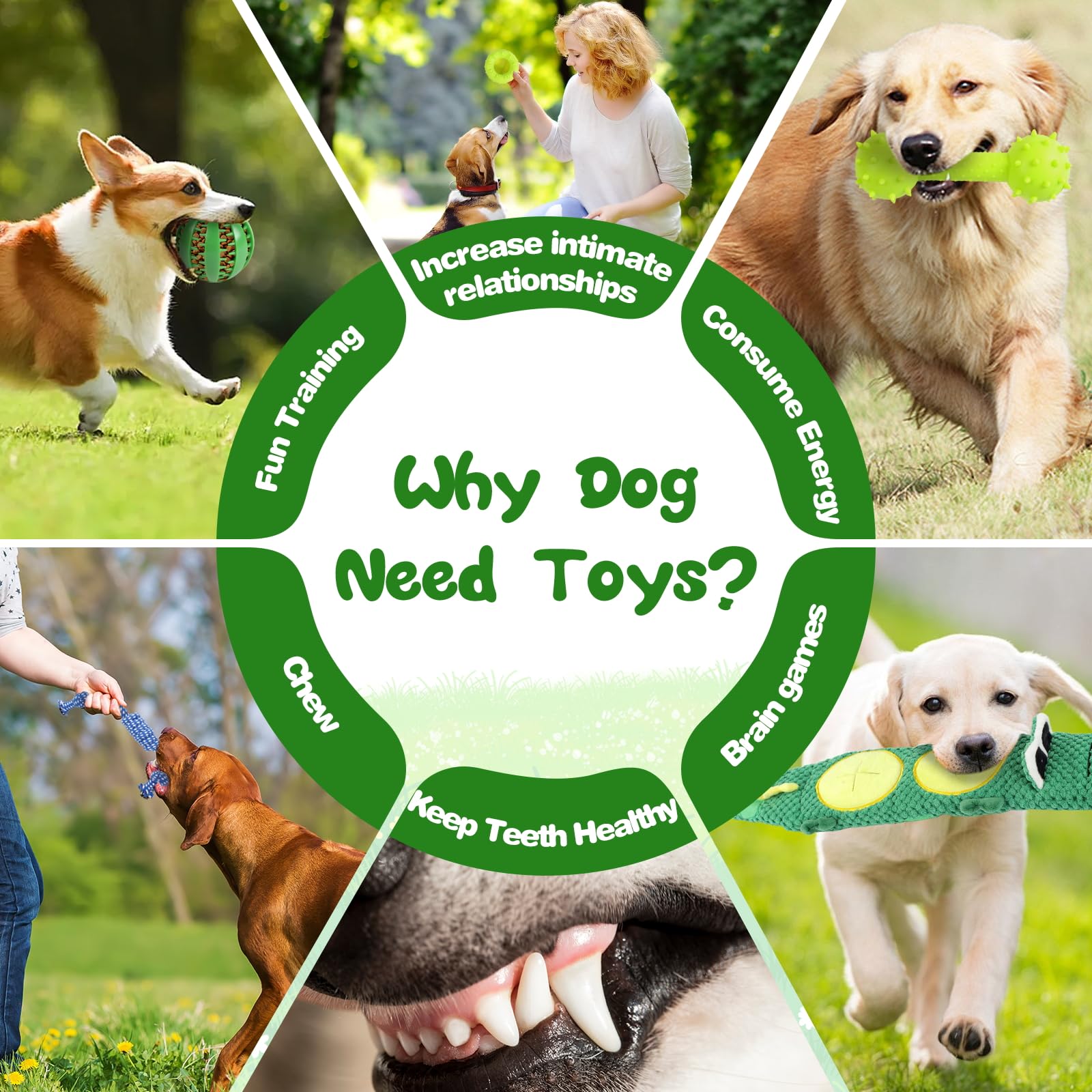 MRSOHRET 15 Pack Puppy Chew Toys for Teething, No Stuffing Squeaky Dog Toys Interactive Puzzle Toy, Dog Enrichment Toy Bundle wi