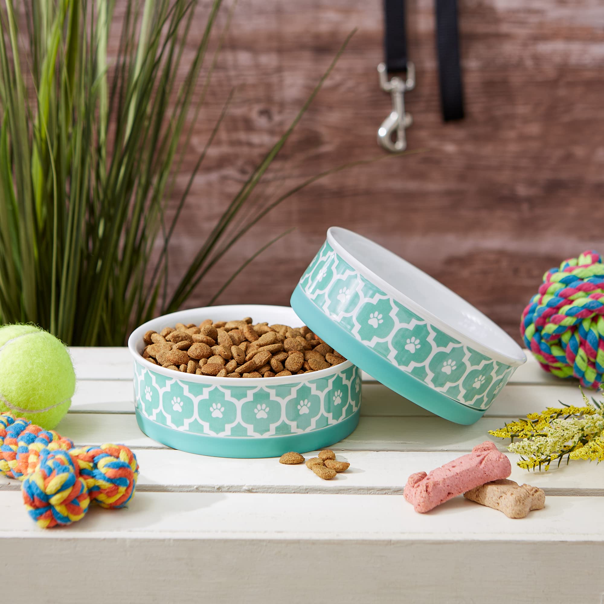 Bone Dry Lattice Collection Pet Bowl & Canister, Medium Set, 6x2, Aqua, 2 Count