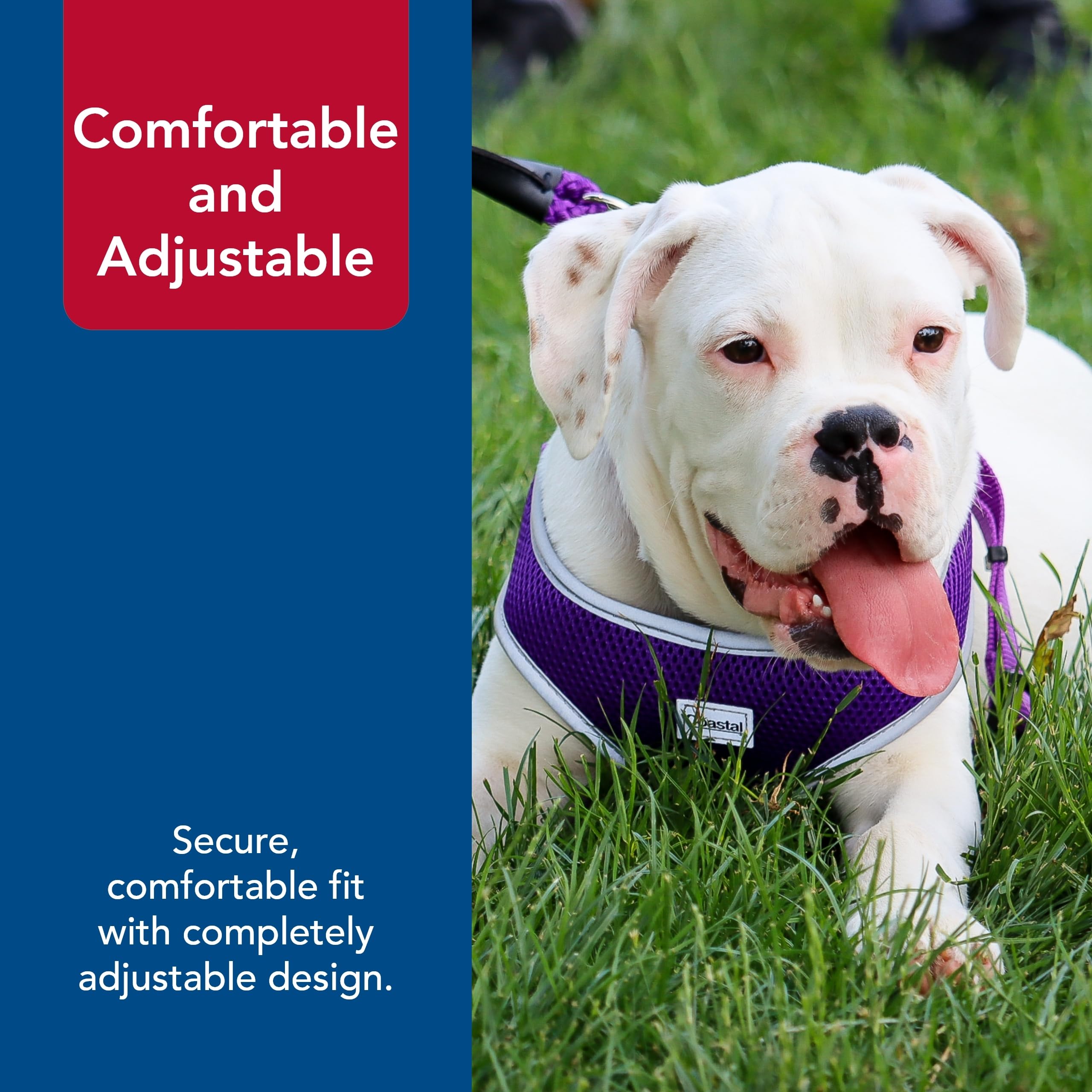 Coastal Pet Comfort Soft Reflective Wrap Adjustable Dog Harness - No-Pull Dog Harness For Small & Large Dogs - Neon Pink - 5/8''