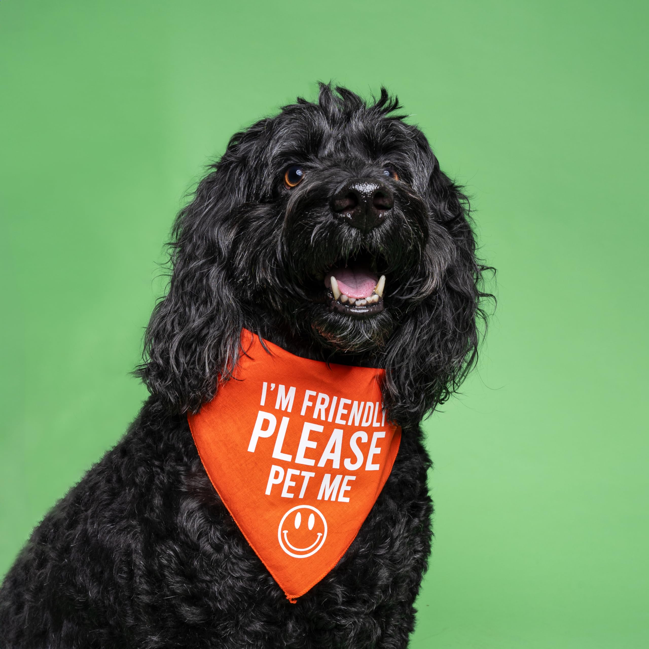 Tees & Tails Dog Bandana, Rainbow Tie Dye Cotton, One Size, "I'm Friendly Please Pet Me" Design