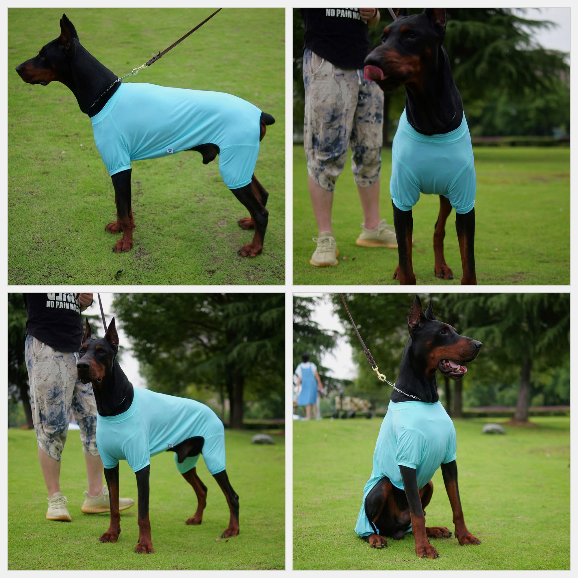 Lovelonglong Dog Jumpsuit With Uv Protection And Quick-Dry Fabric For Spring Summer Pet Pajamas Turquoise M