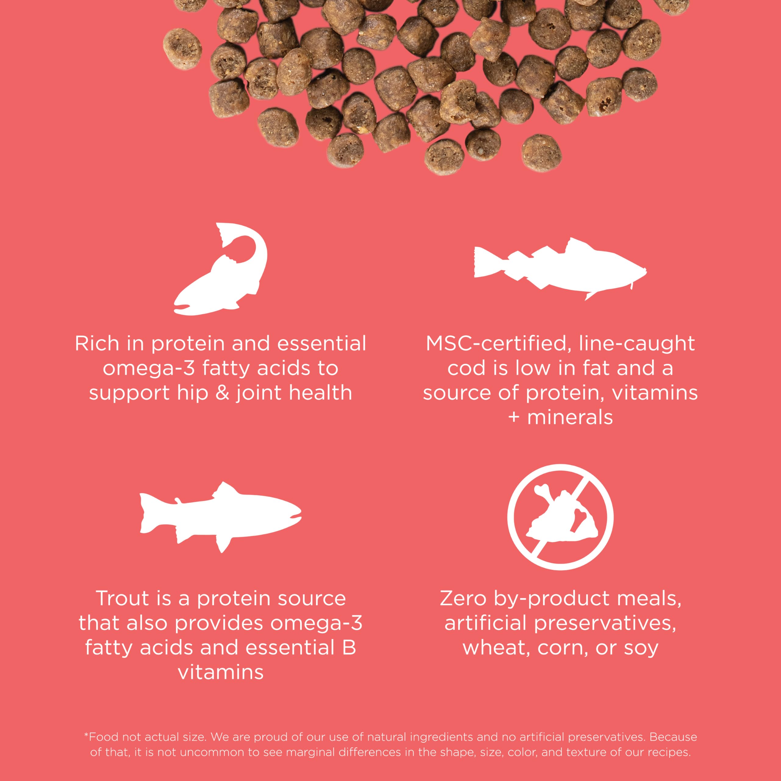 Go! Solutions Carnivore, Grain-Free, Protein Rich Dry Cat Food, Salmon and Cod Recipe, 16 lb Bag