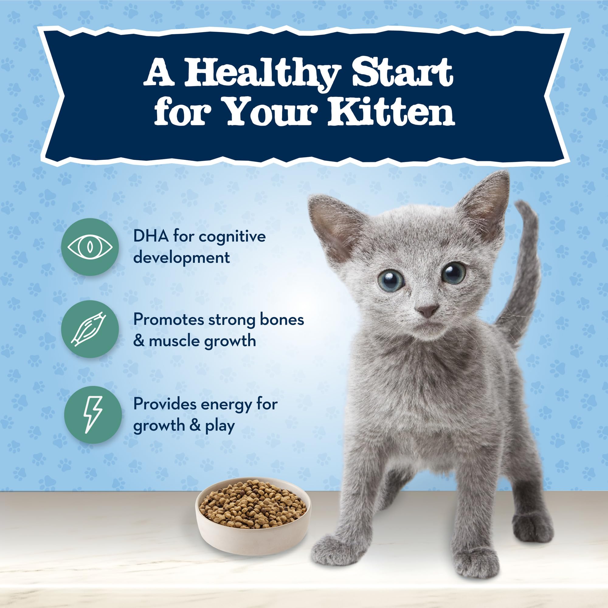 Blue Buffalo Baby BLUE Natural Grain-Free Dry Food for Kittens, Healthy Growth Formula with DHA, High-Protein Savory Chicken Rec