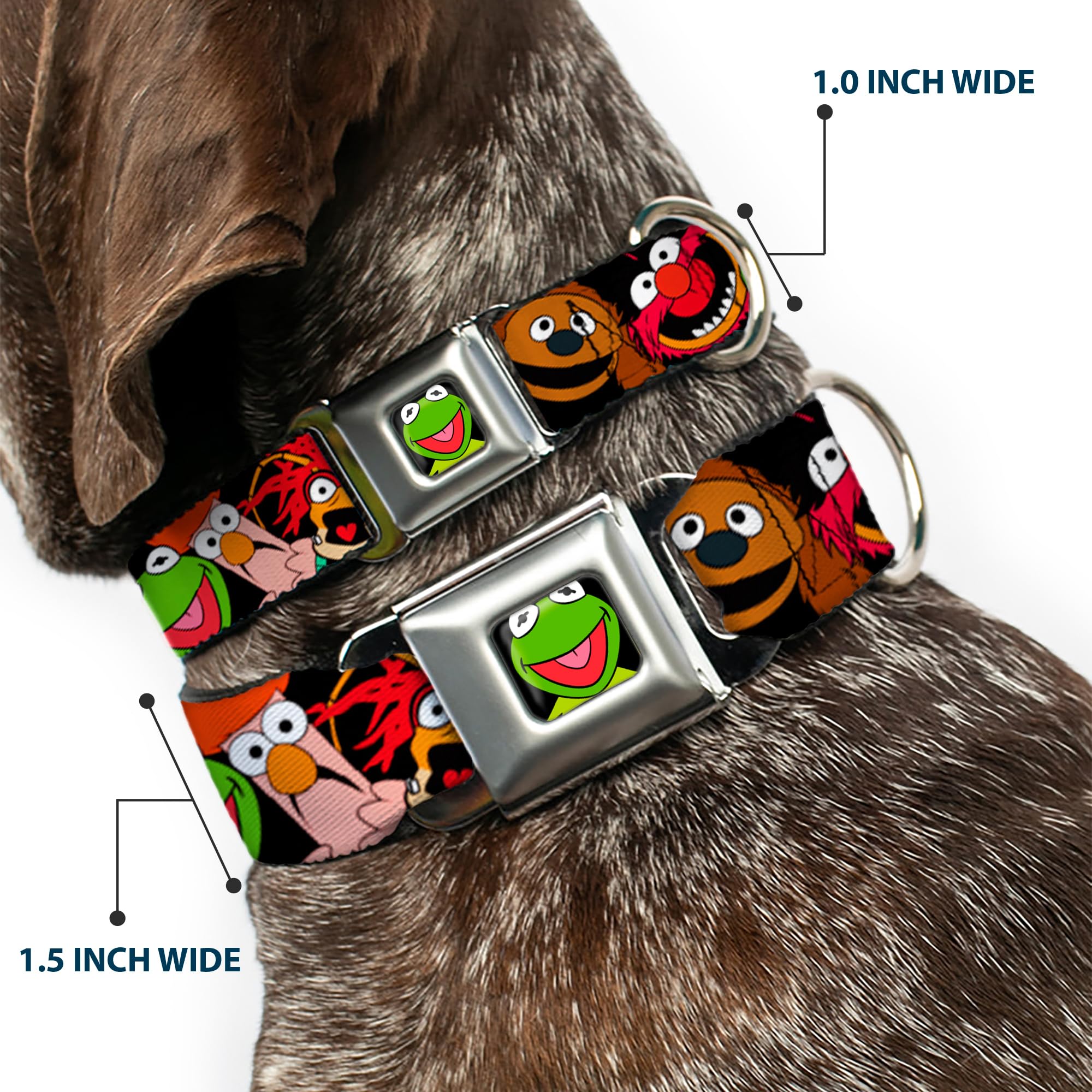 Buckle-Down Seatbelt Buckle Dog Collar - Muppets Faces Black - 1' Wide - Fits 9-15' Neck - Small