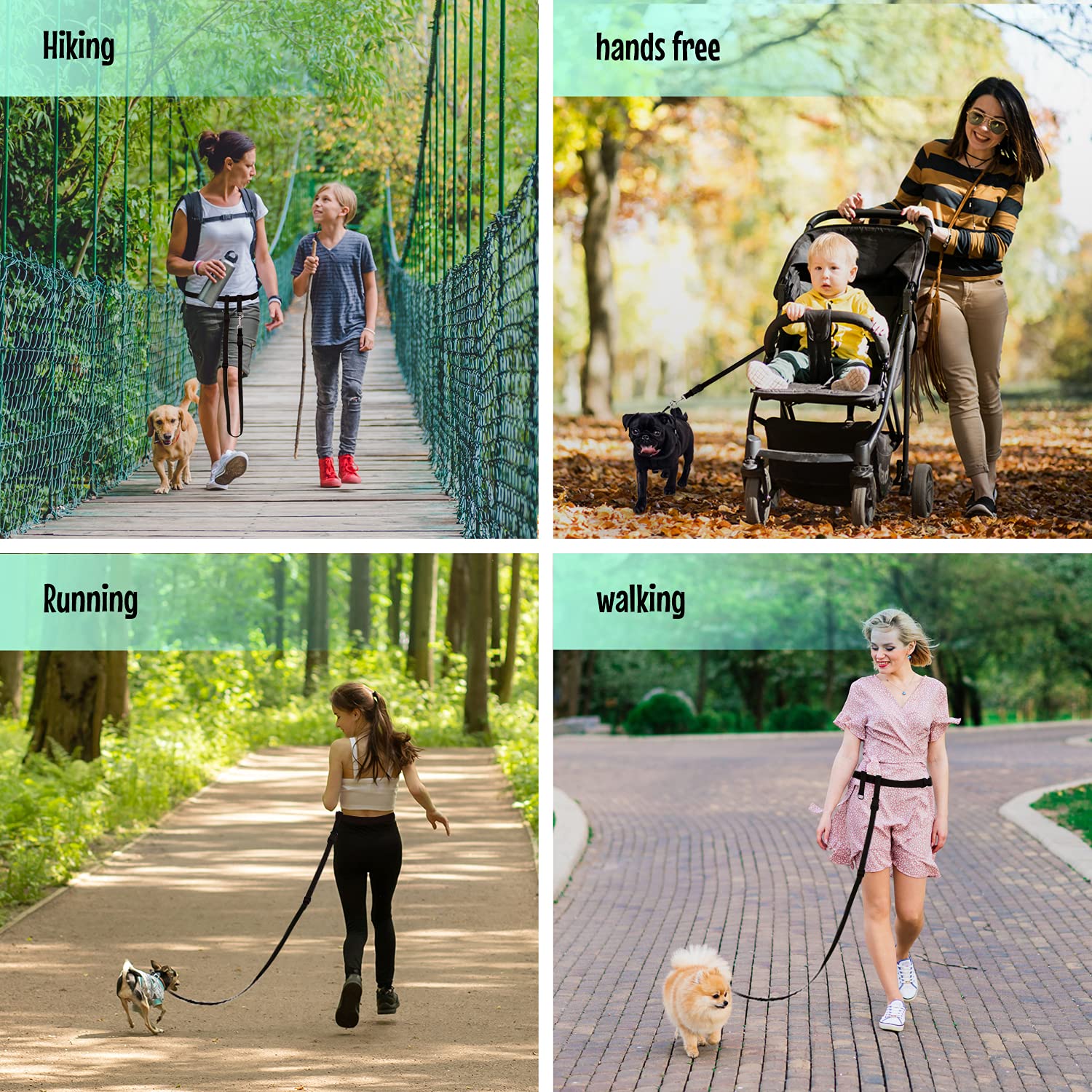 The Buddy System Accessories For Our Dog Leashes Made In Usa (Extra Buddy, Small Dog Black)