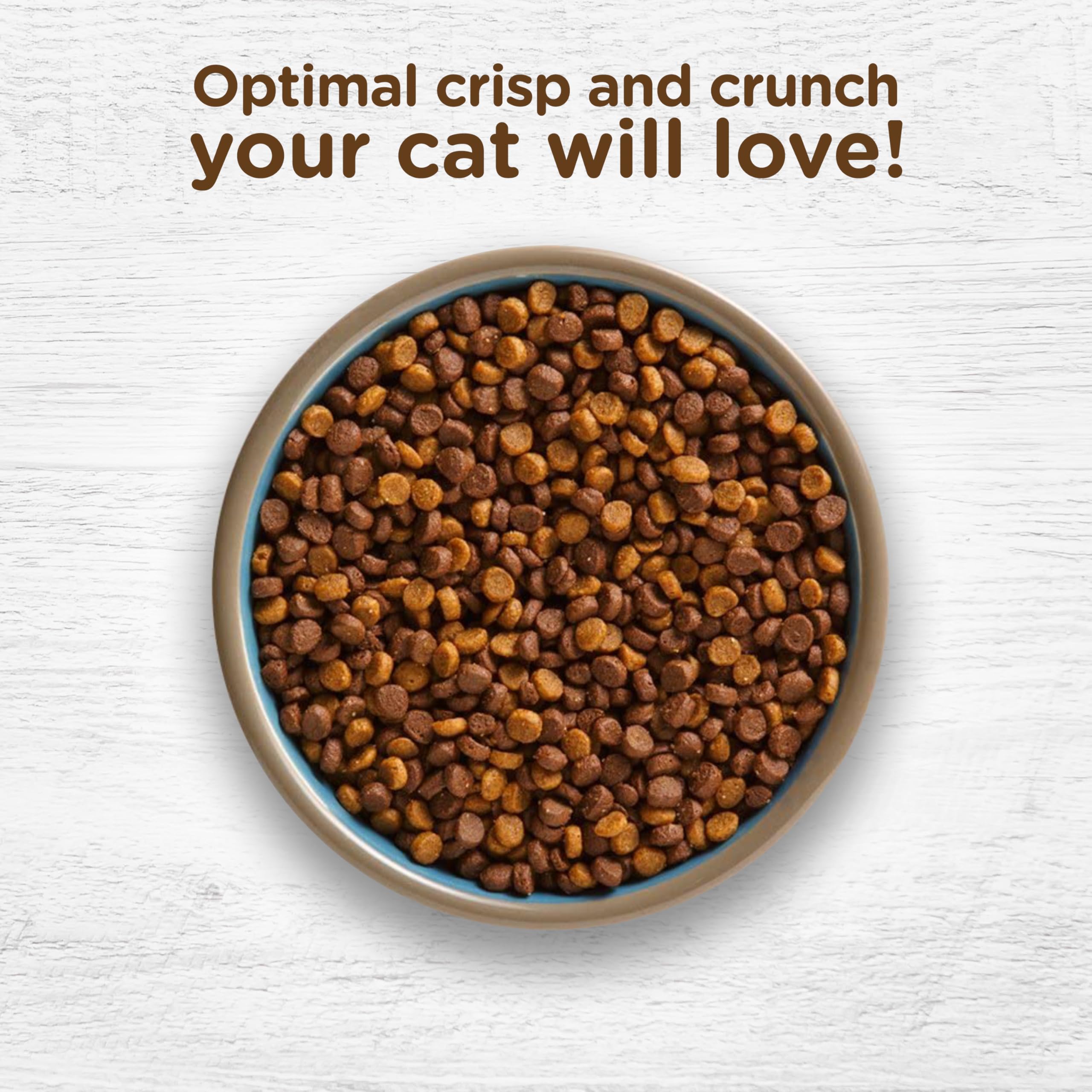 Rachael Ray Nutrish Indoor Complete Premium Natural Dry Cat Food, Chicken with Lentils & Salmon Recipe, 14 Pounds (Packaging May
