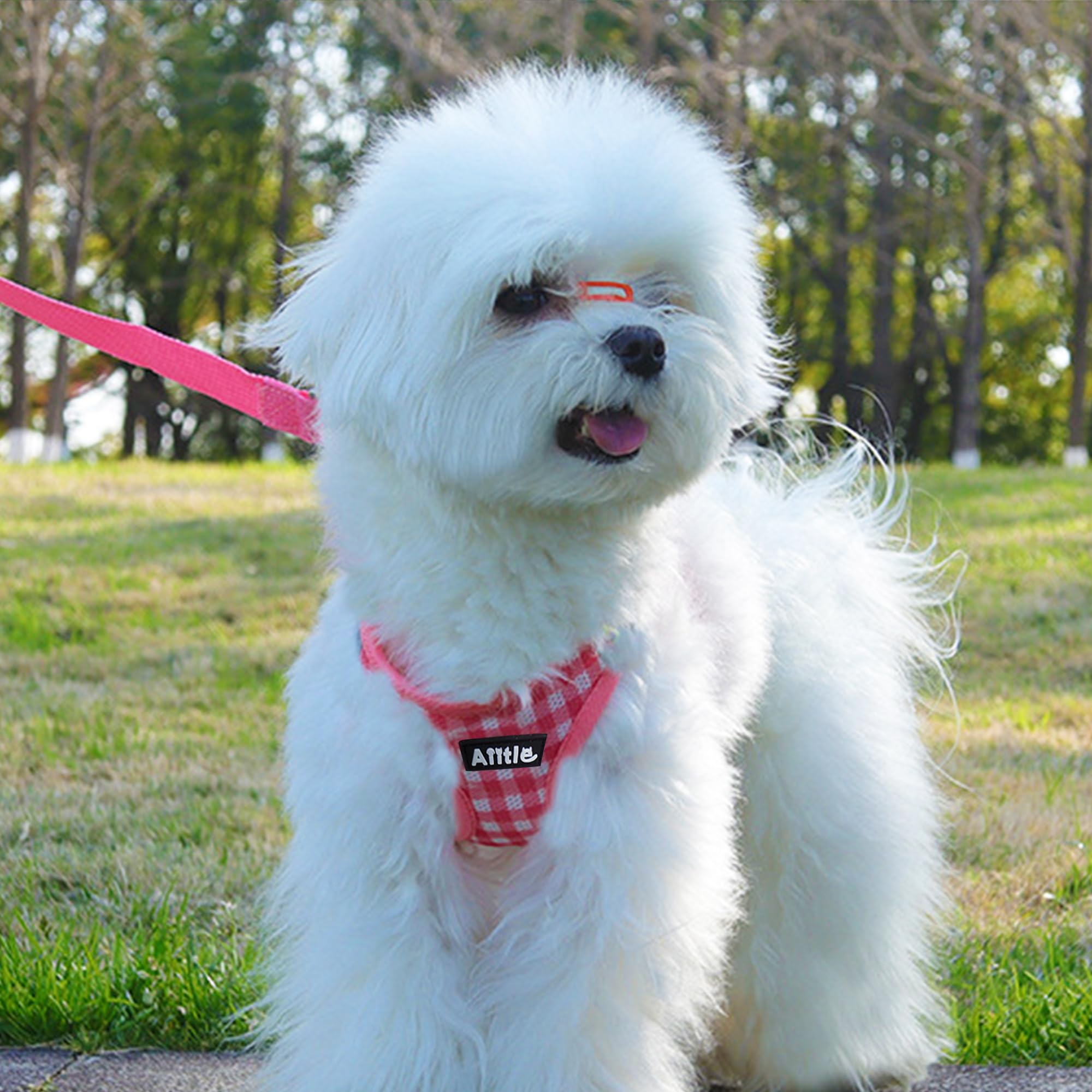 Aiitle Small Dog Harness And Leash Set, Step In No Pull Pet Harness, Soft Mesh Reflective Plaid Vest Harnesses For Small Dogs Pu