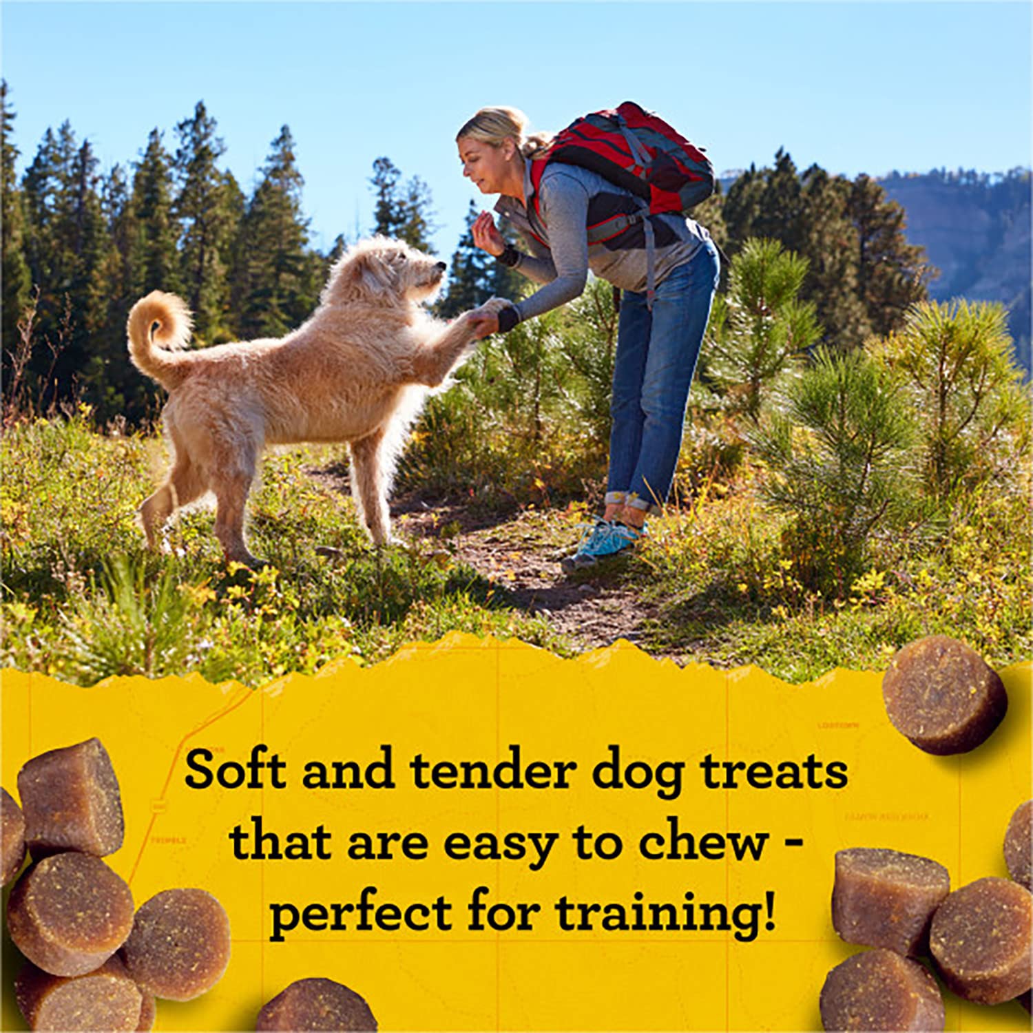 Zukes Mini Naturals Training Dog Treats (16 Ounce (Pack of 2), Beef)