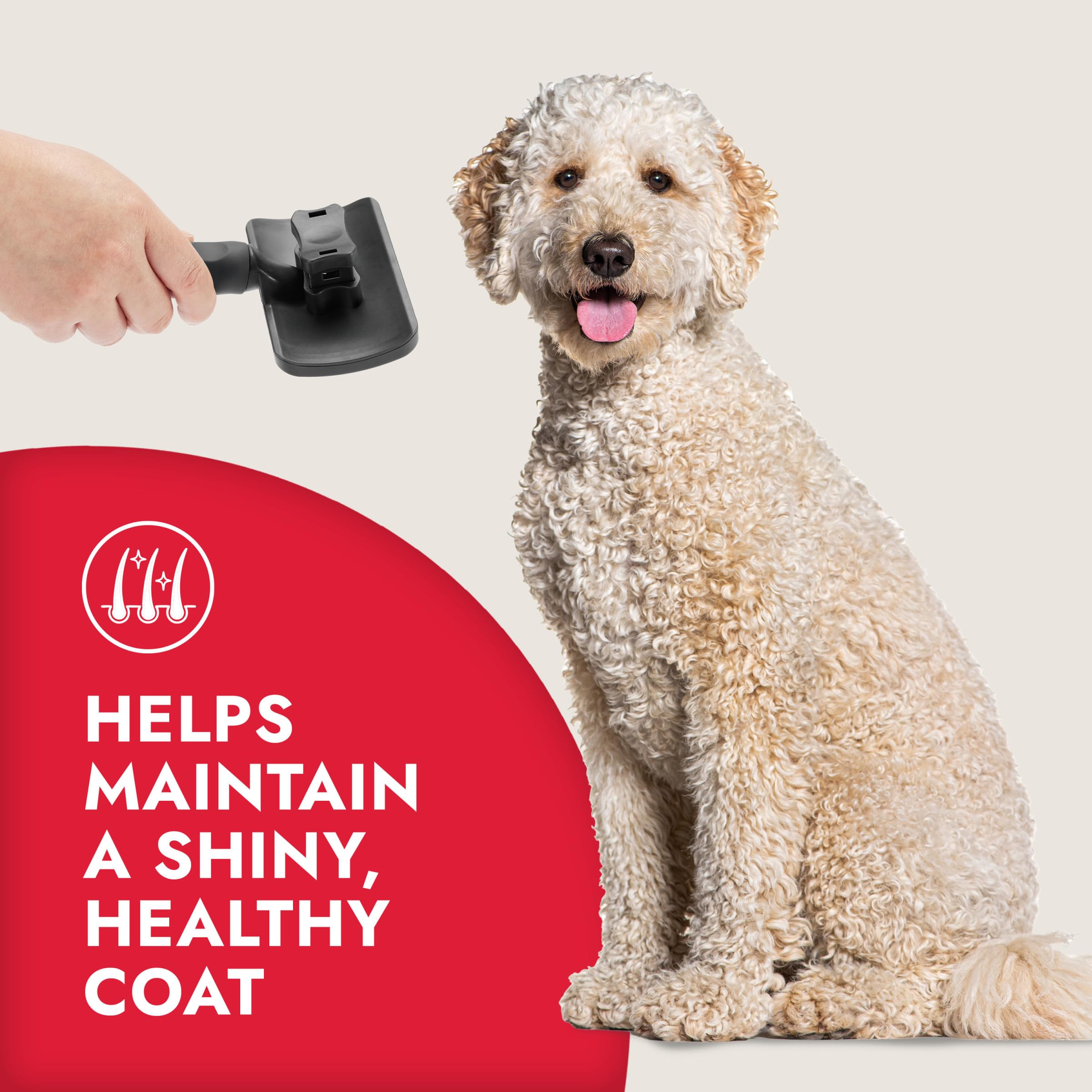 KONG Large Self-Cleaning Slicker Brush - Easy Hair Removal, Reduces Shedding, Non-Slip Grip, Long Metal Pins, for Medium to Larg