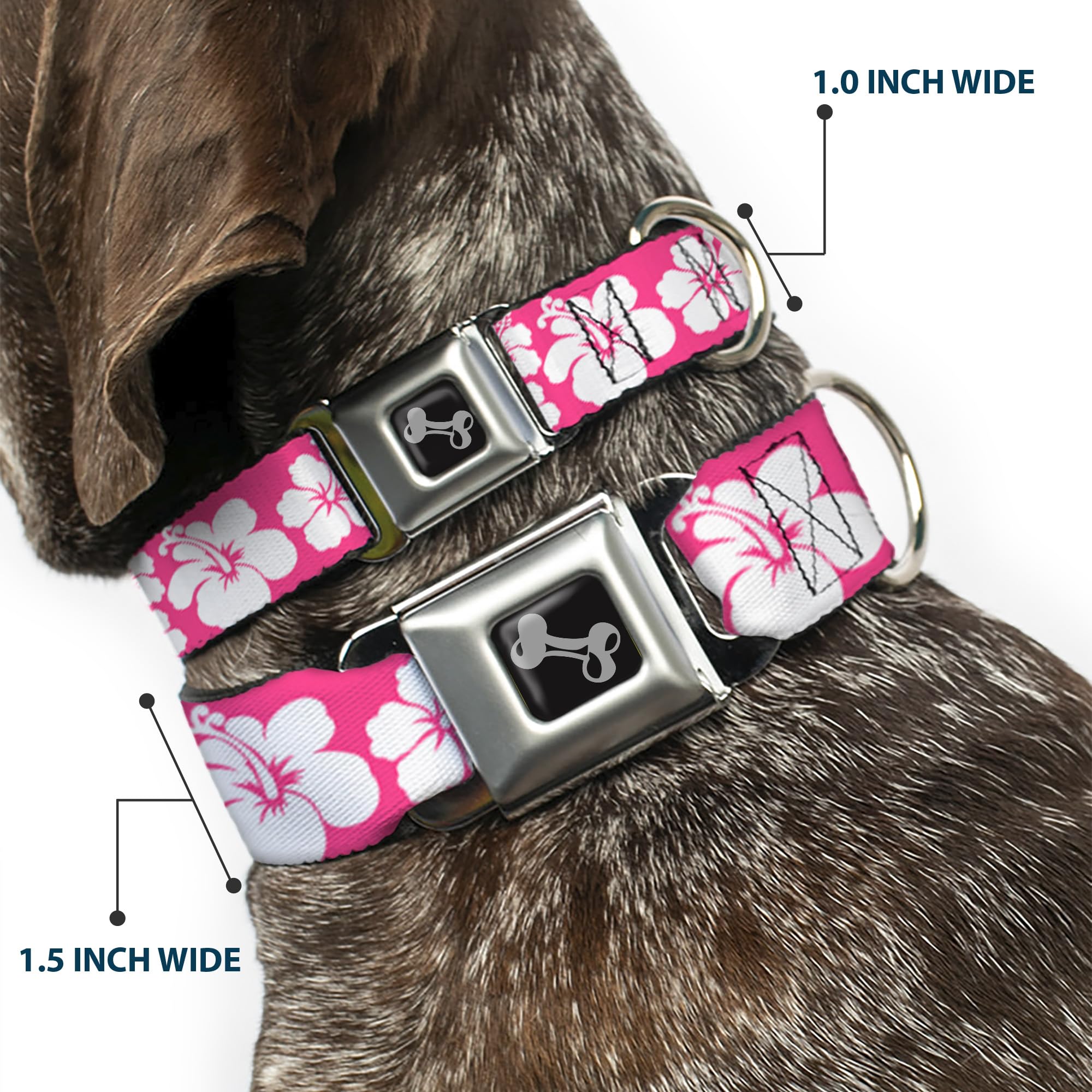 Buckle-Down Seatbelt Buckle Dog Collar - Hibiscus Neon Pink/White - 1' Wide - Fits 11-17' Neck - Medium (Dc-W30853-M)