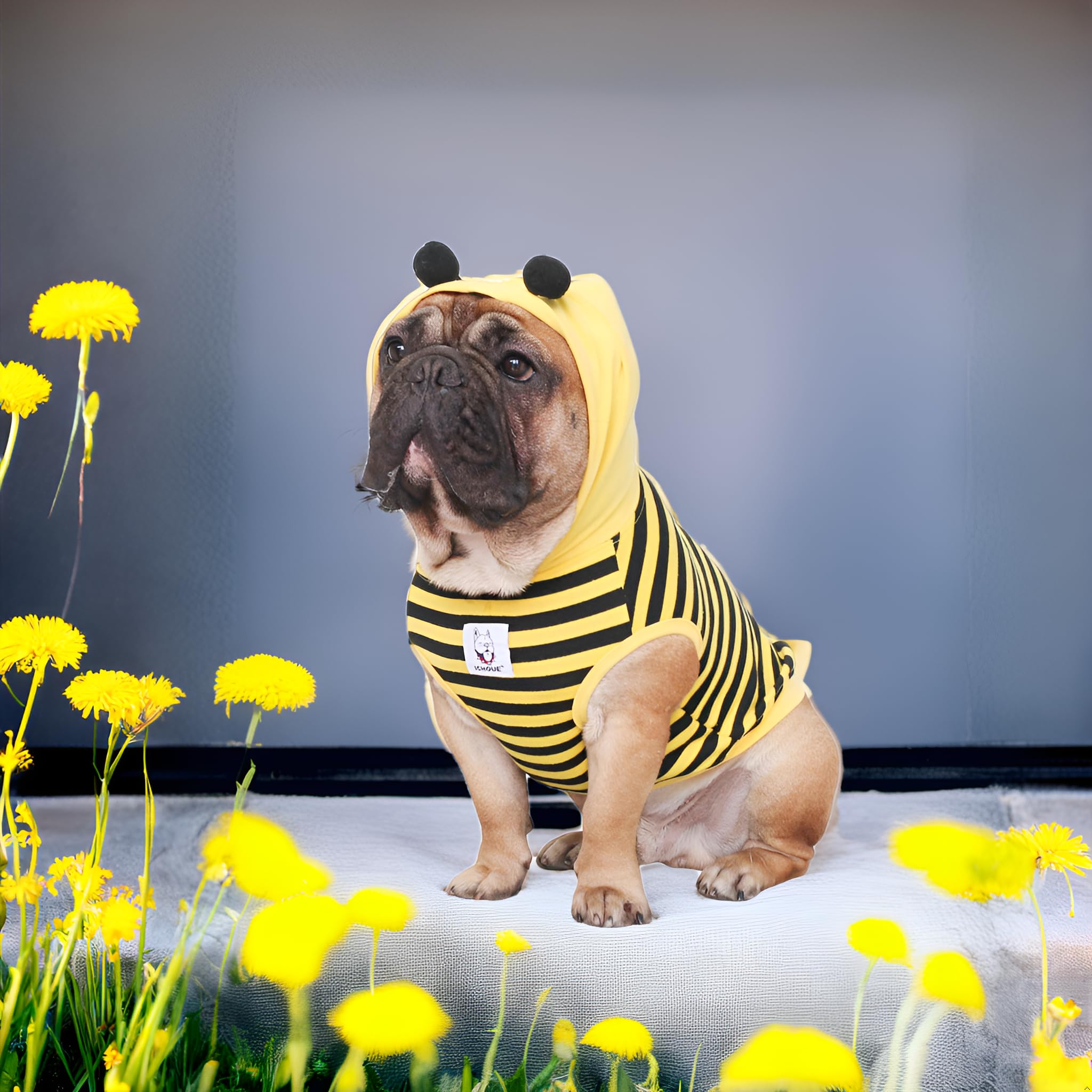 Ichoue I Am A French Bulldog Bee Honeybee Bumblebee Halloween Costumes Hoodies Sleeveless Clothes Outfits Cosplay Shirts For Small Dogs Frenchie Pug English Boston Puppy - Black And Yellow, Medium