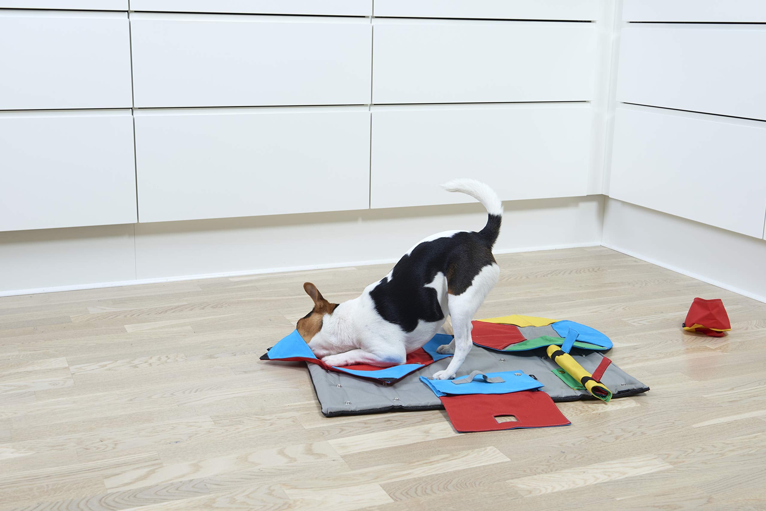 Kruuse Task for Buster Activity Mat, Book