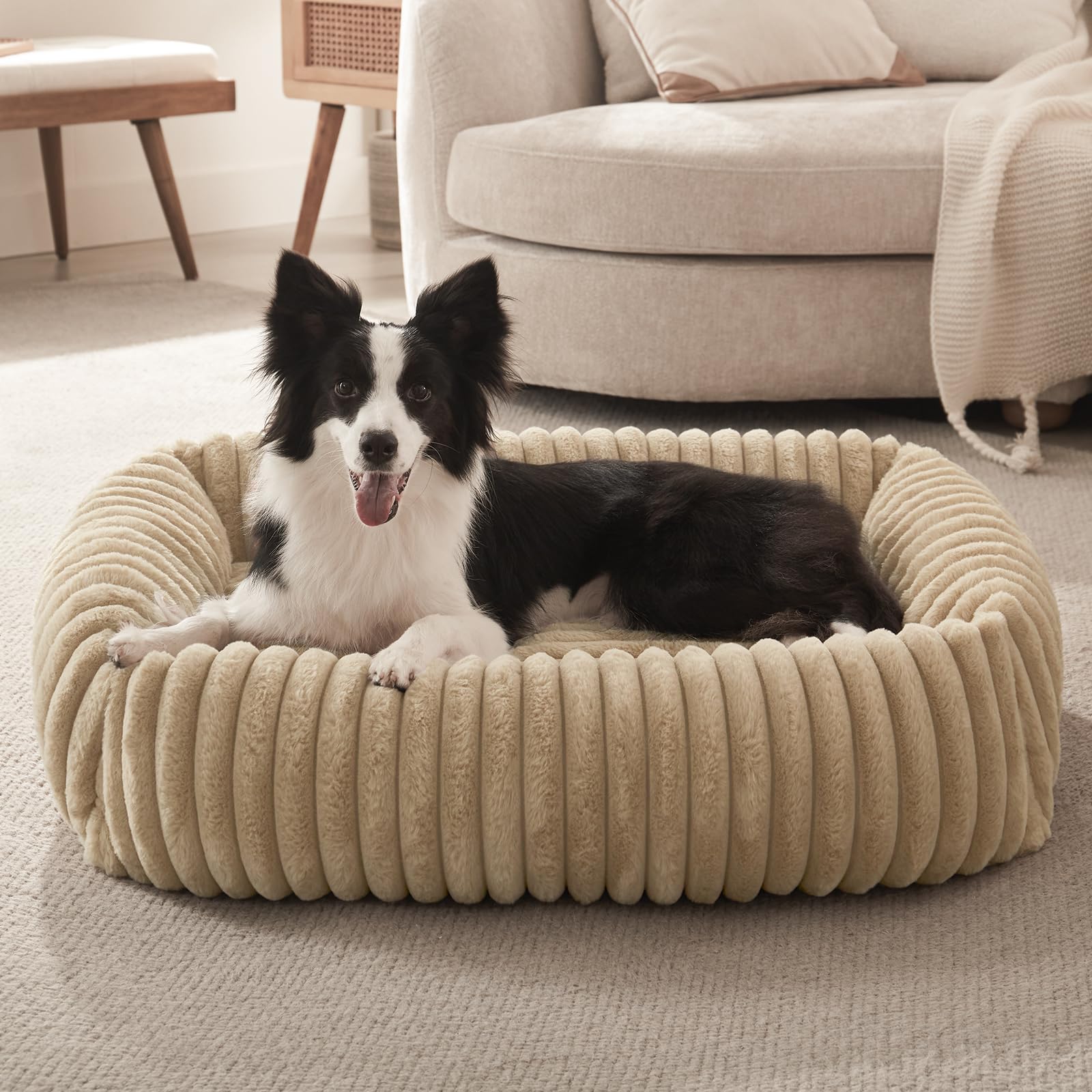 FURTIME Dog Bed Medium Size Dog, Washable Orthopedic Pet Bed with Removable Cover, Rectangle Soft Calming Sleeping Puppy Bed Dur