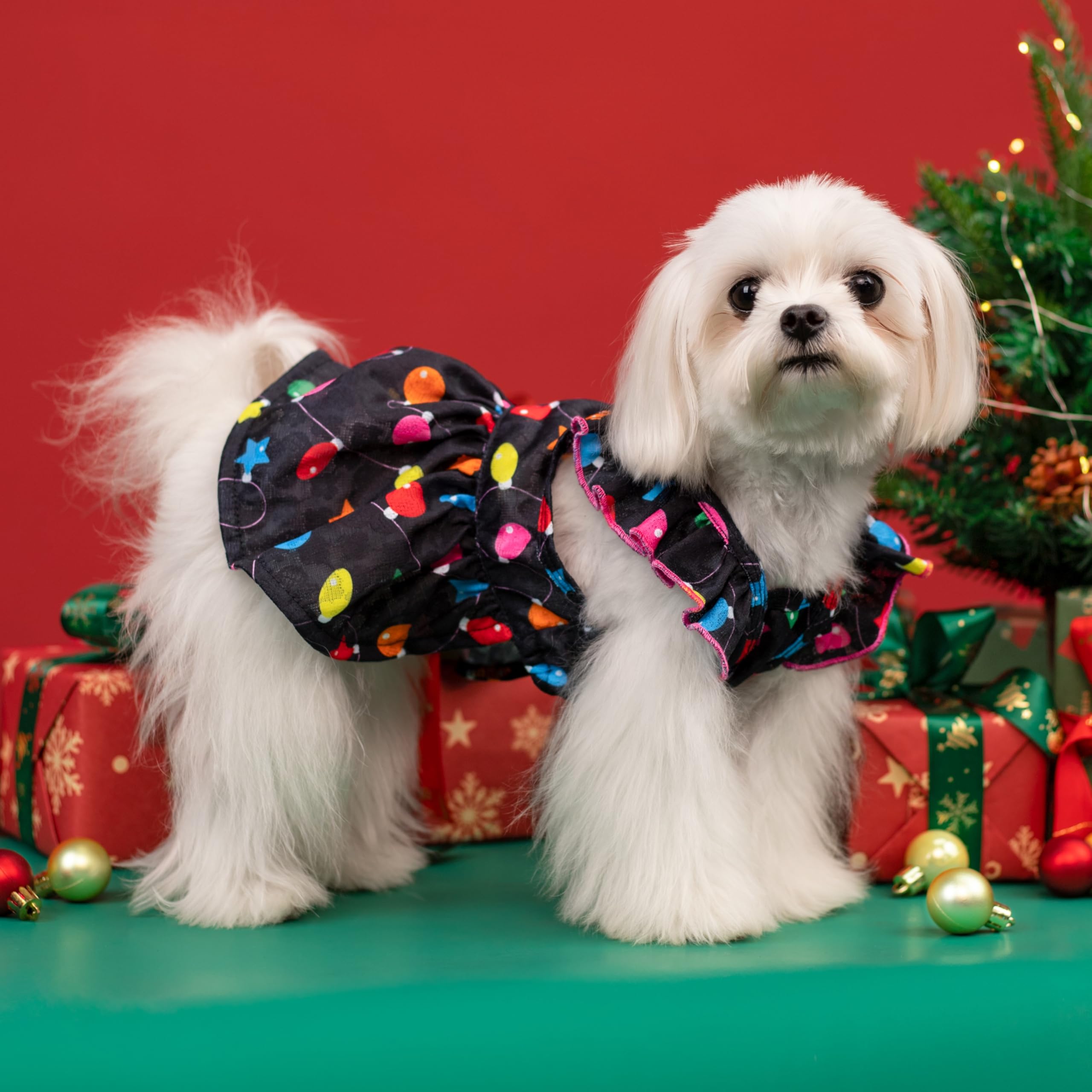 Fitwarm Christmas Light Dog Dress, Cute Dog Christmas Outfit, Doggy Clothes for Small Dogs Girl, Pet Apparel, Black, Pink, Red,