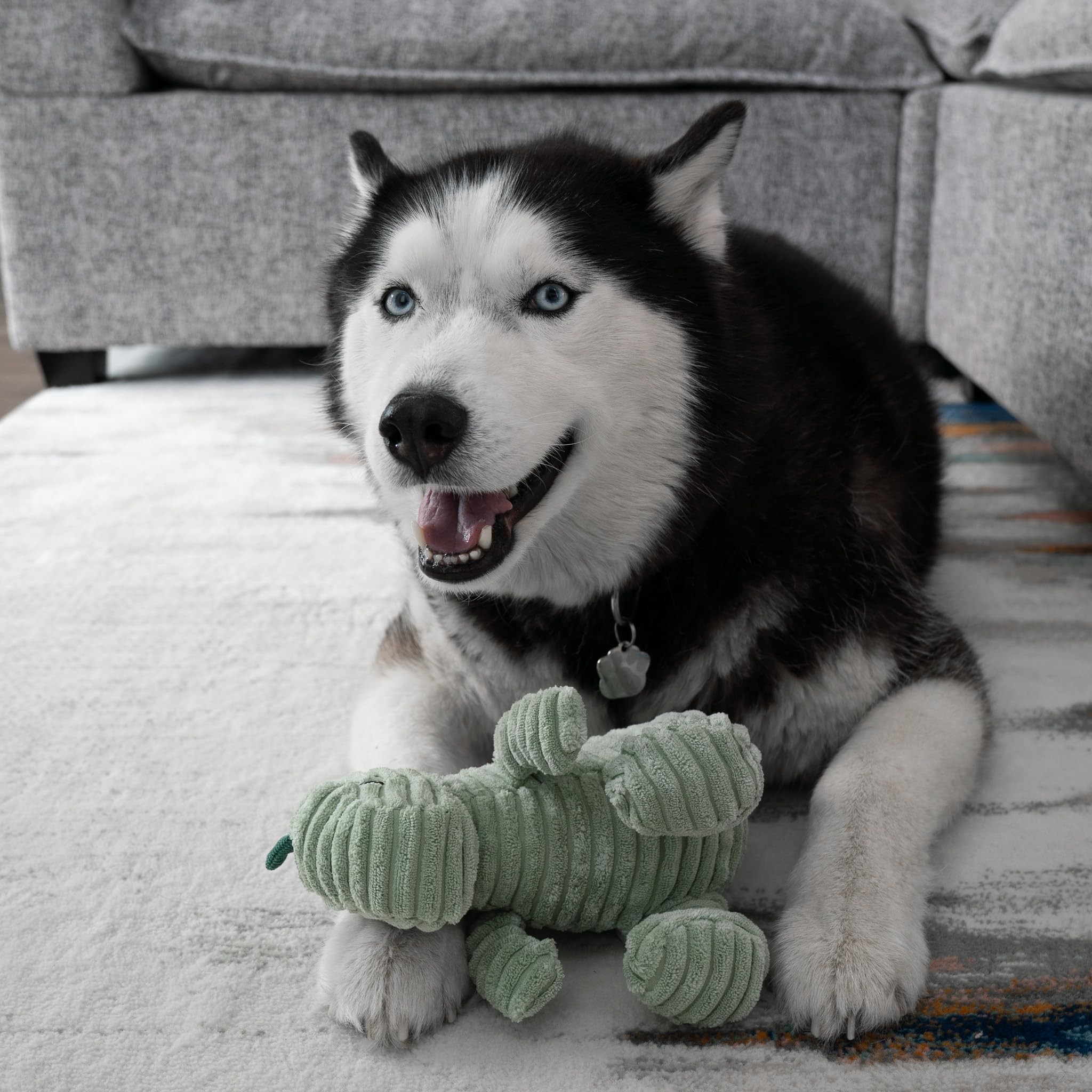Morelife Naughty Dogs Dinos Plush Squeaky Toy| For Small Medium Large Dogs, All Dog Breeds, Blue And Green Bundle