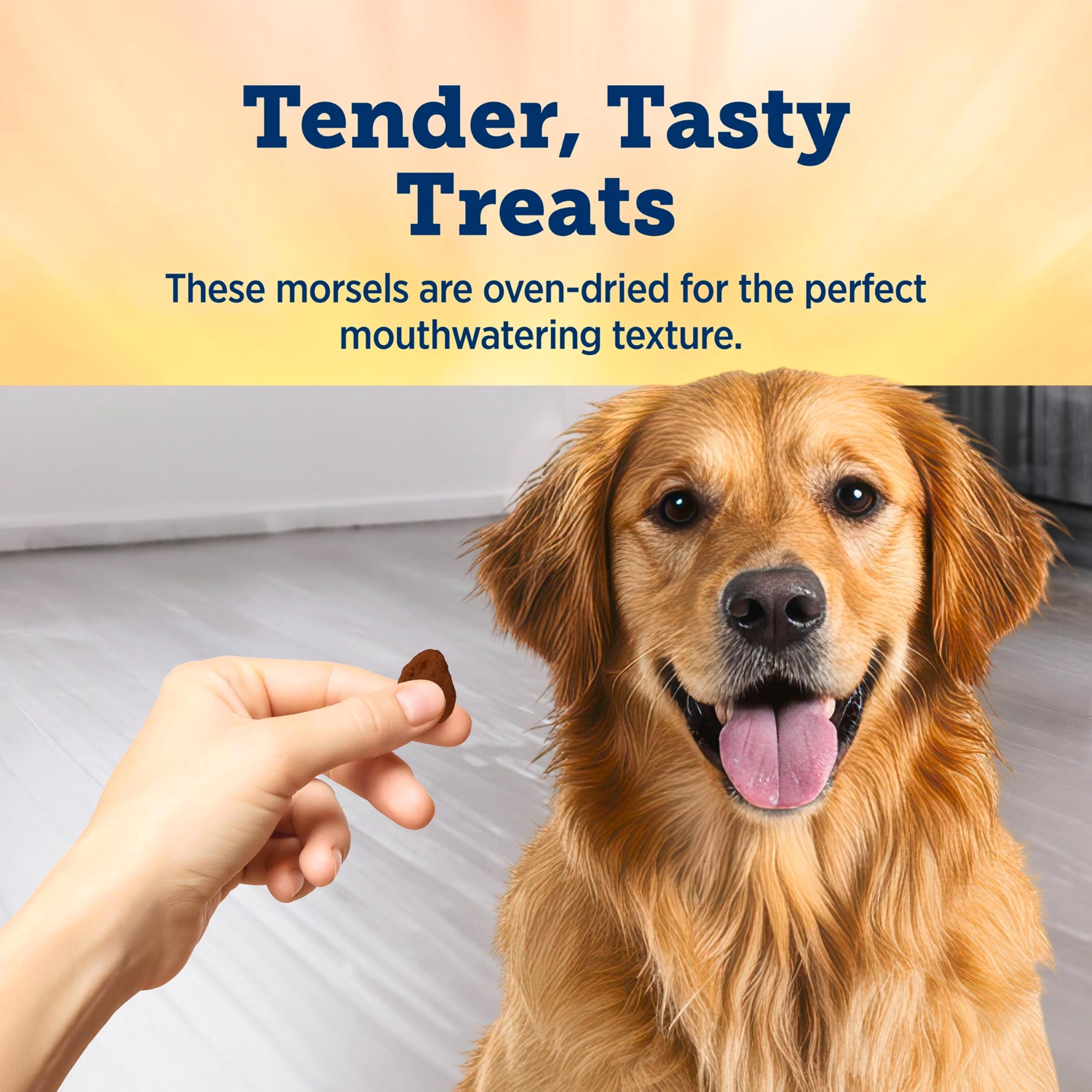 Blue Buffalo True Chews Premium Morsels Dog Treats, Made in The USA with Natural Ingredients, Steak, 10-oz Bag