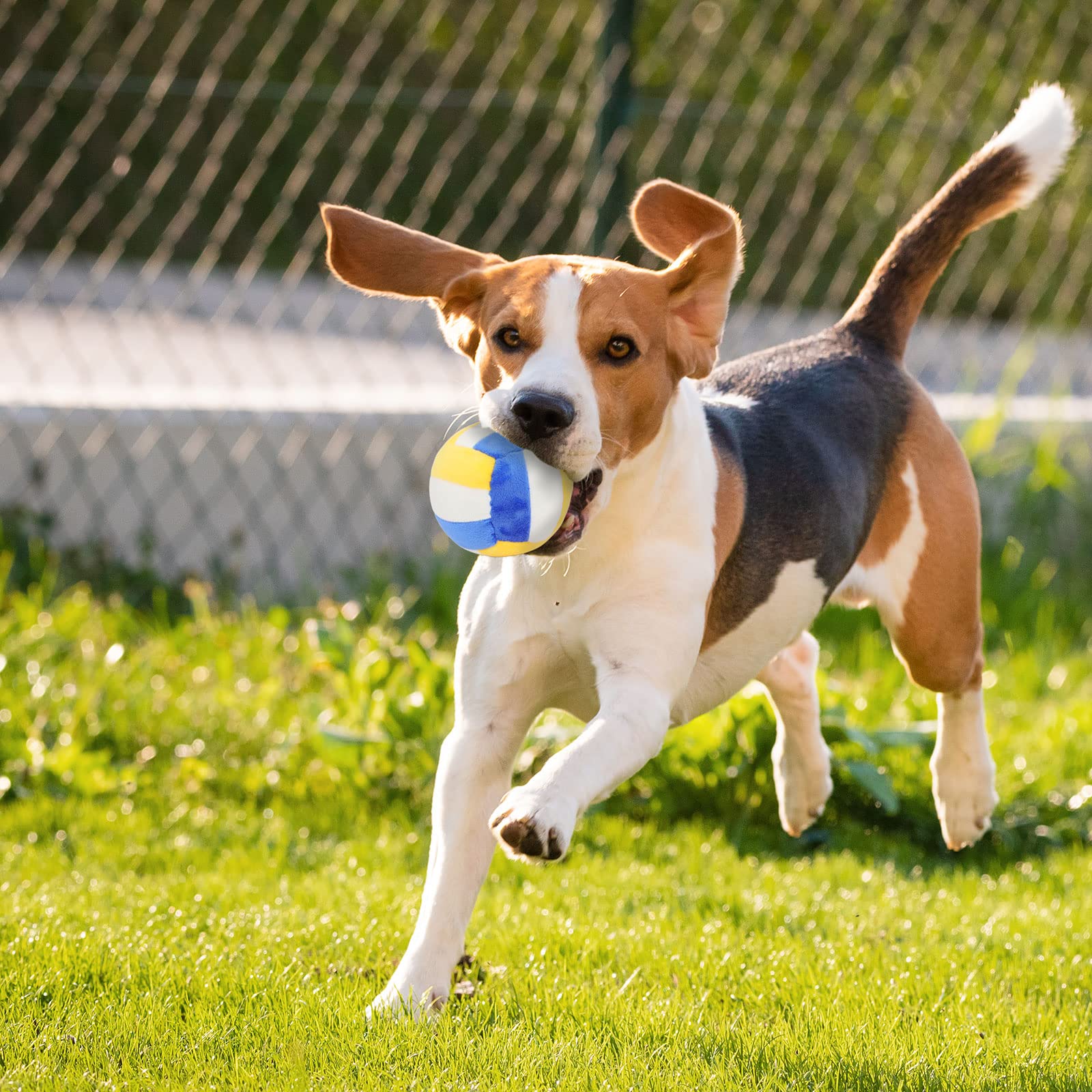 TONYFY Dog Toys - Chewable Plush Volleyball, Soft Squeaky Ball for Dogs, 3.9in, Durable Cotton, Blue, Ideal for Small to Medium Breeds