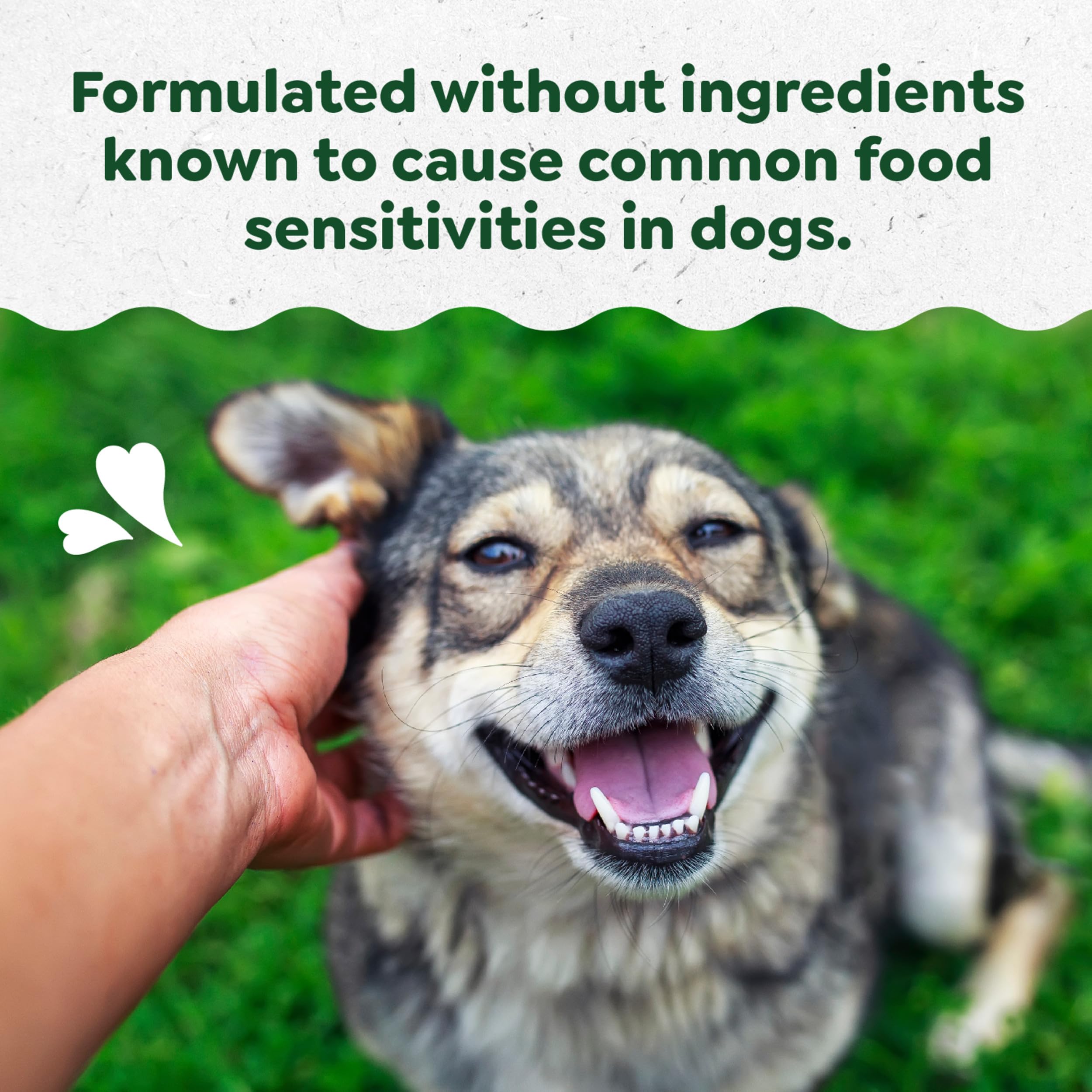 Greenies Sensitive Care Allergy & Immune Support Dog Supplement Chicken-Free Formula, Peanut Butter Flavor, 40 Count Pouch