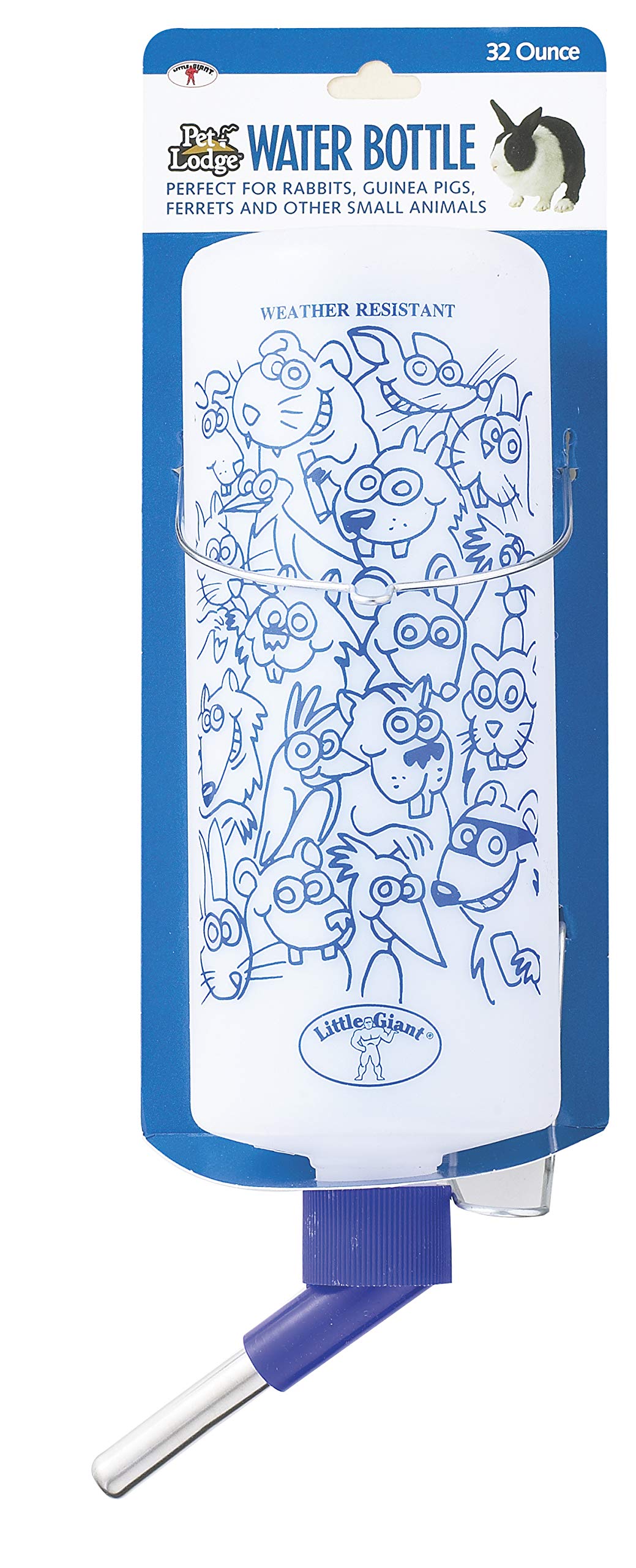 RABBIT WATER BOTTLE(Pack of 1)