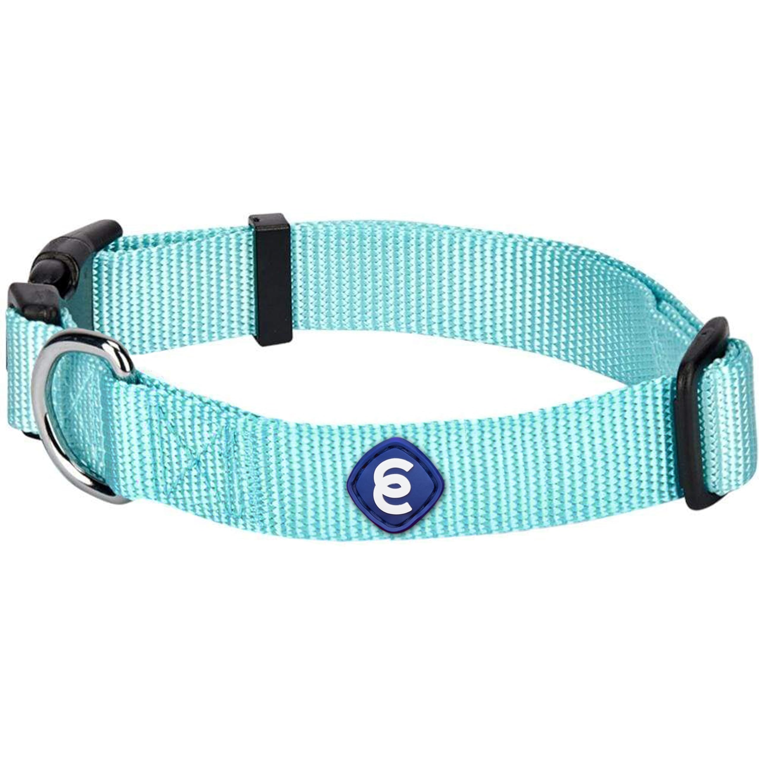 Blueberry Pet Essentials Matching Dog Collar | Adjustable Classic Solid Color Nylon Collar For Medium Dogs | Mint Blue