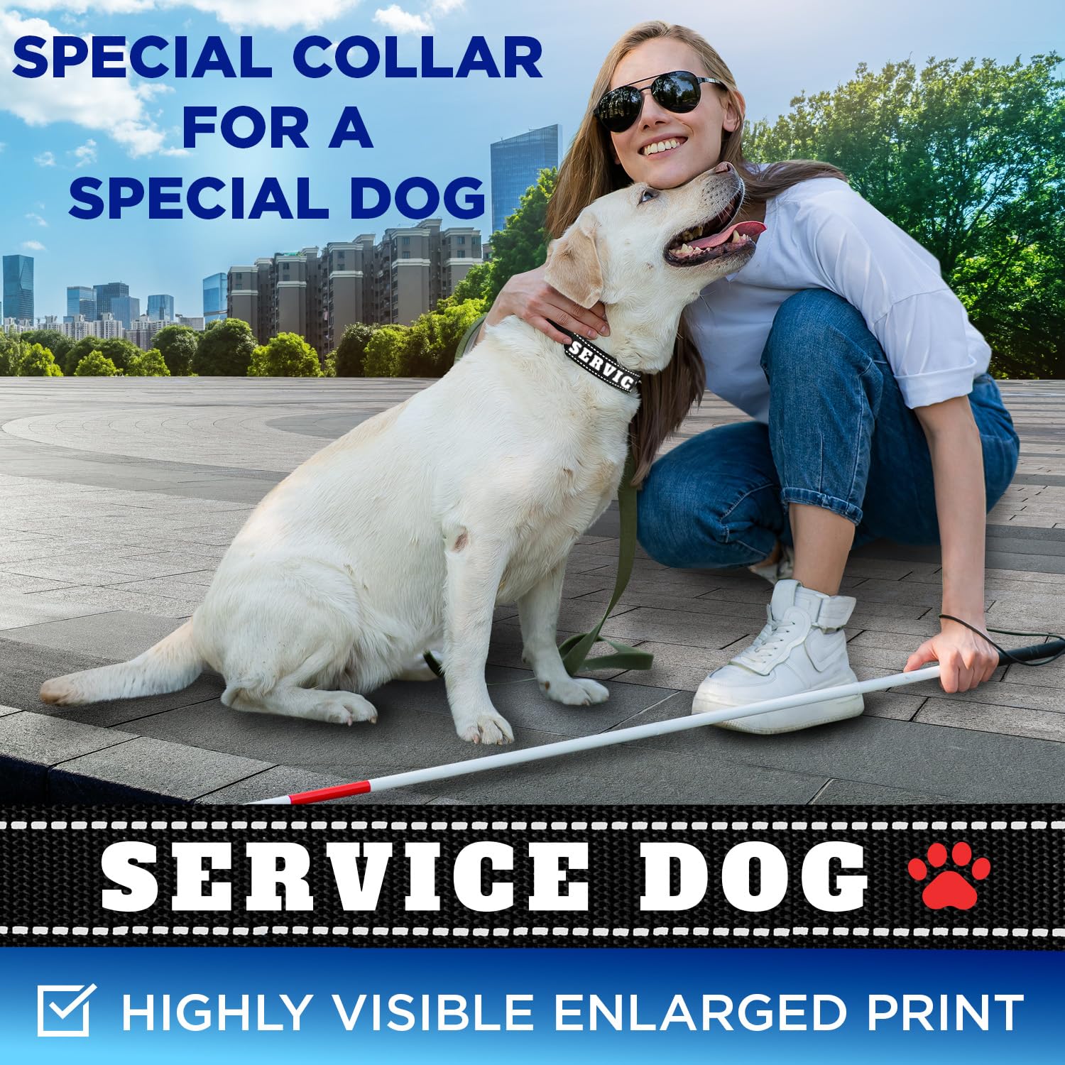 Teceum Reflective Pet Collar - Black - Service Dog - L - Extra Soft Padding - Basic Nylon Dog Collar - Quick Release Buckle - Fi