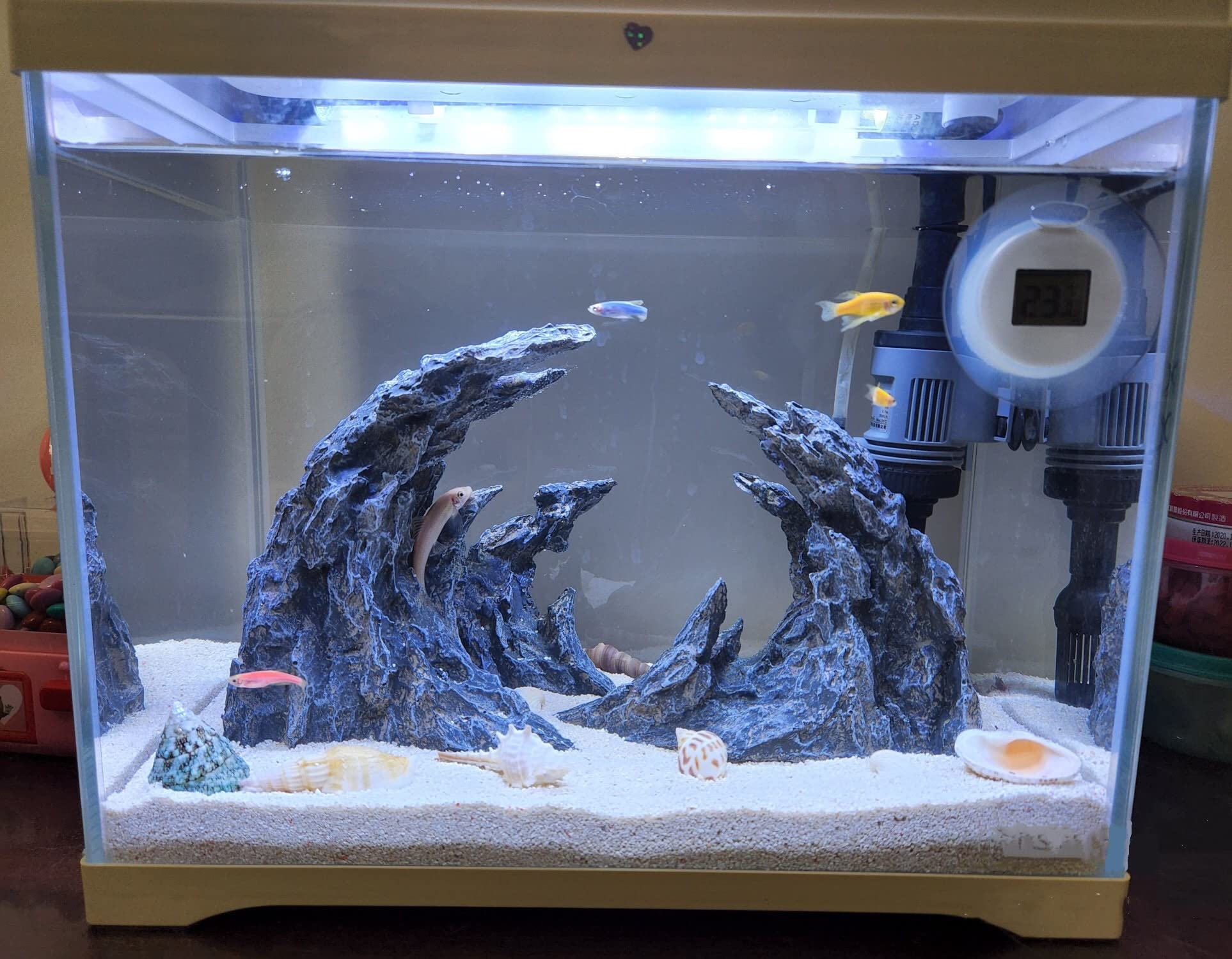 Awxzom Large 'Soul Valley' Aquarium Ornaments Extra Large Aquarium Decorations Superior Landscaping (Soul Valley 18Inch)