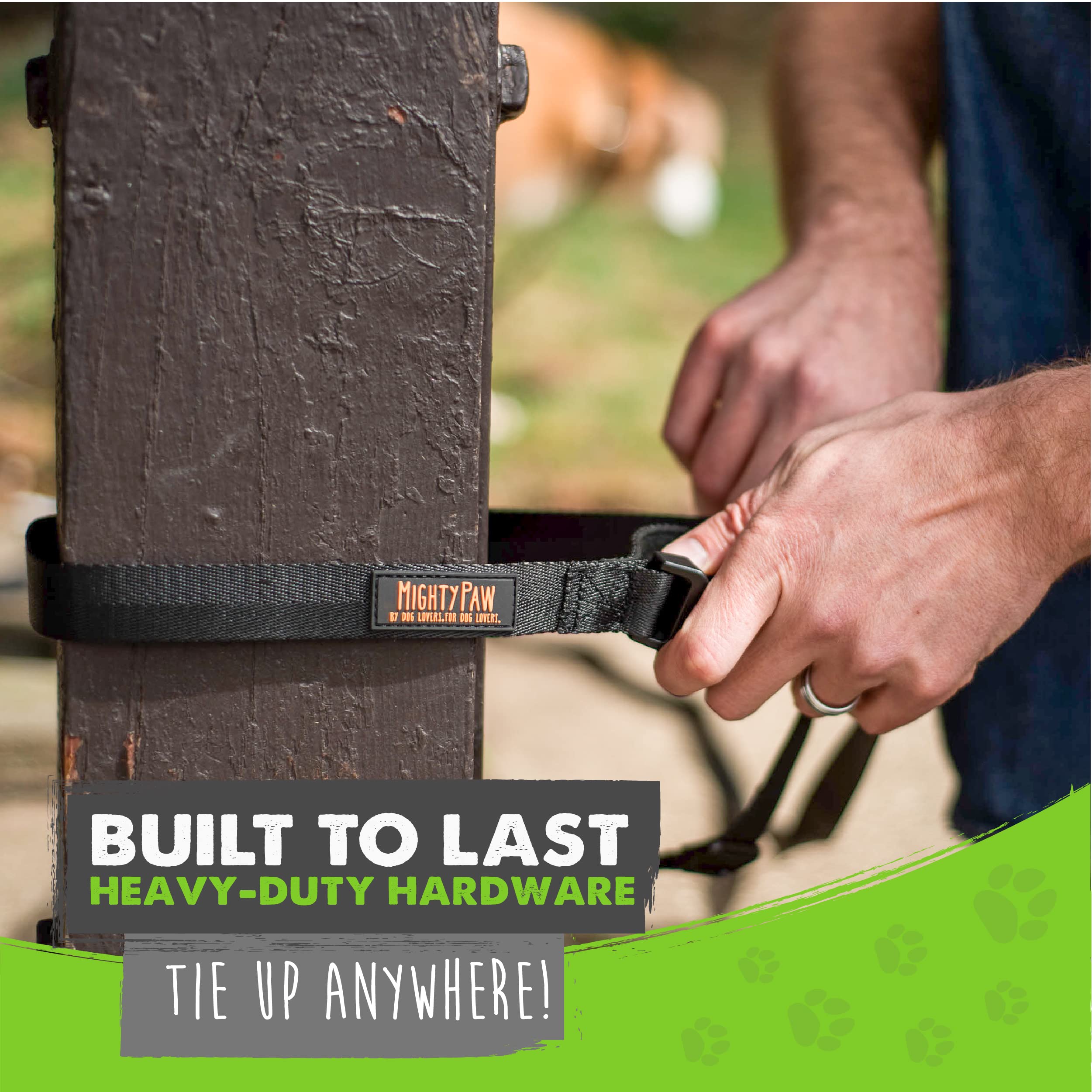 Mighty Paw Long Dog Leash - Premium Leash For Off-Leash Recall Training - Includes Buckled Padded Handle - Suitable For Yard - Pet Yard Leash - Camping And Dog Lead Training - (30 Feet, Black)