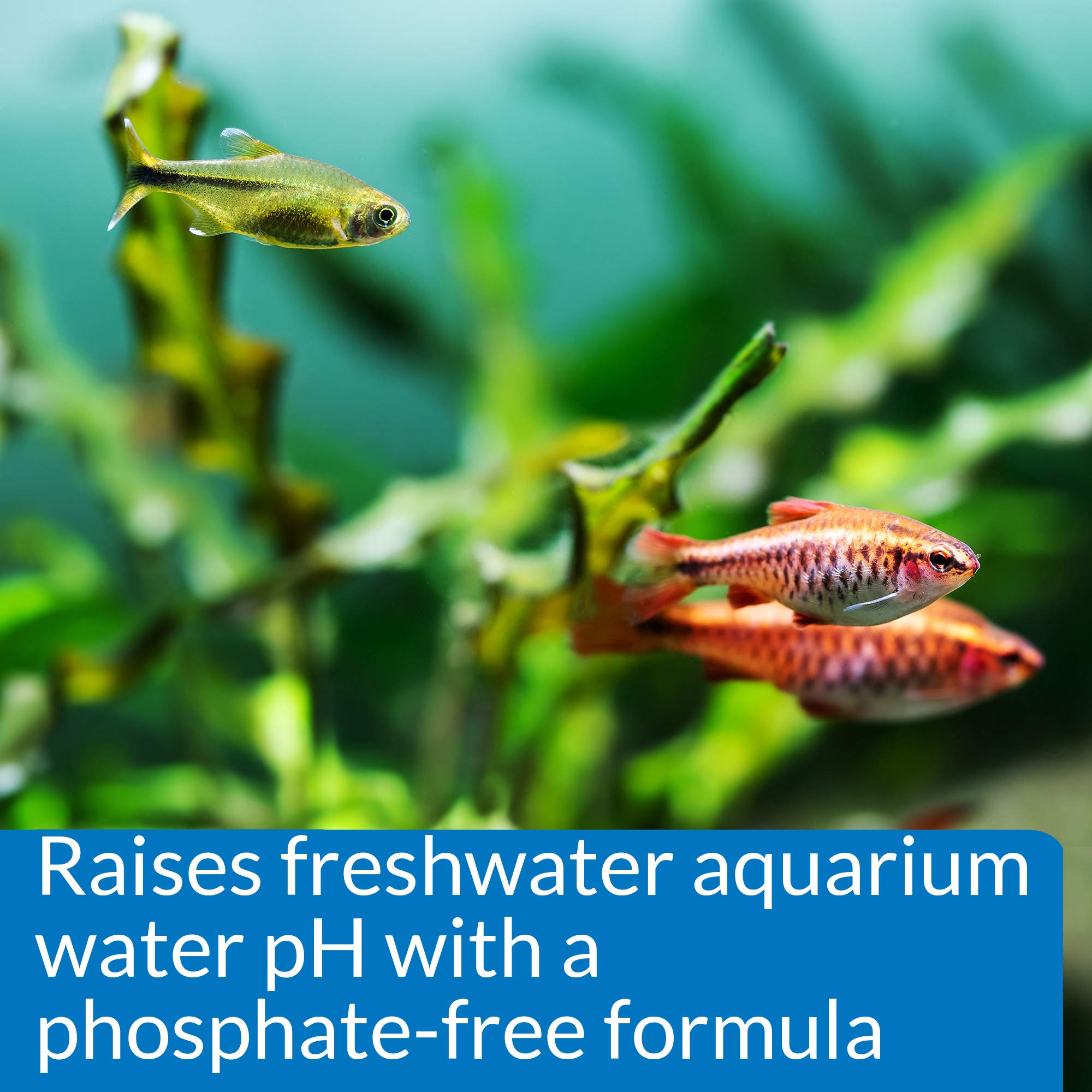 API pH Up Aquarium pH Adjuster for Freshwater Aquariums 1.25 oz