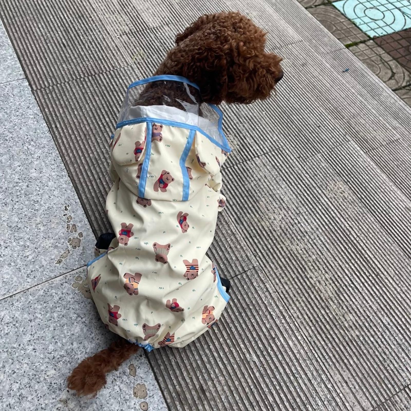 Harikaji Small Dog Raincoat, Tail Protect Feet Cover Waterproof Dog Rain Jacket Dog Rain Coat For Puppy Small Dogs (Yellow Beaar