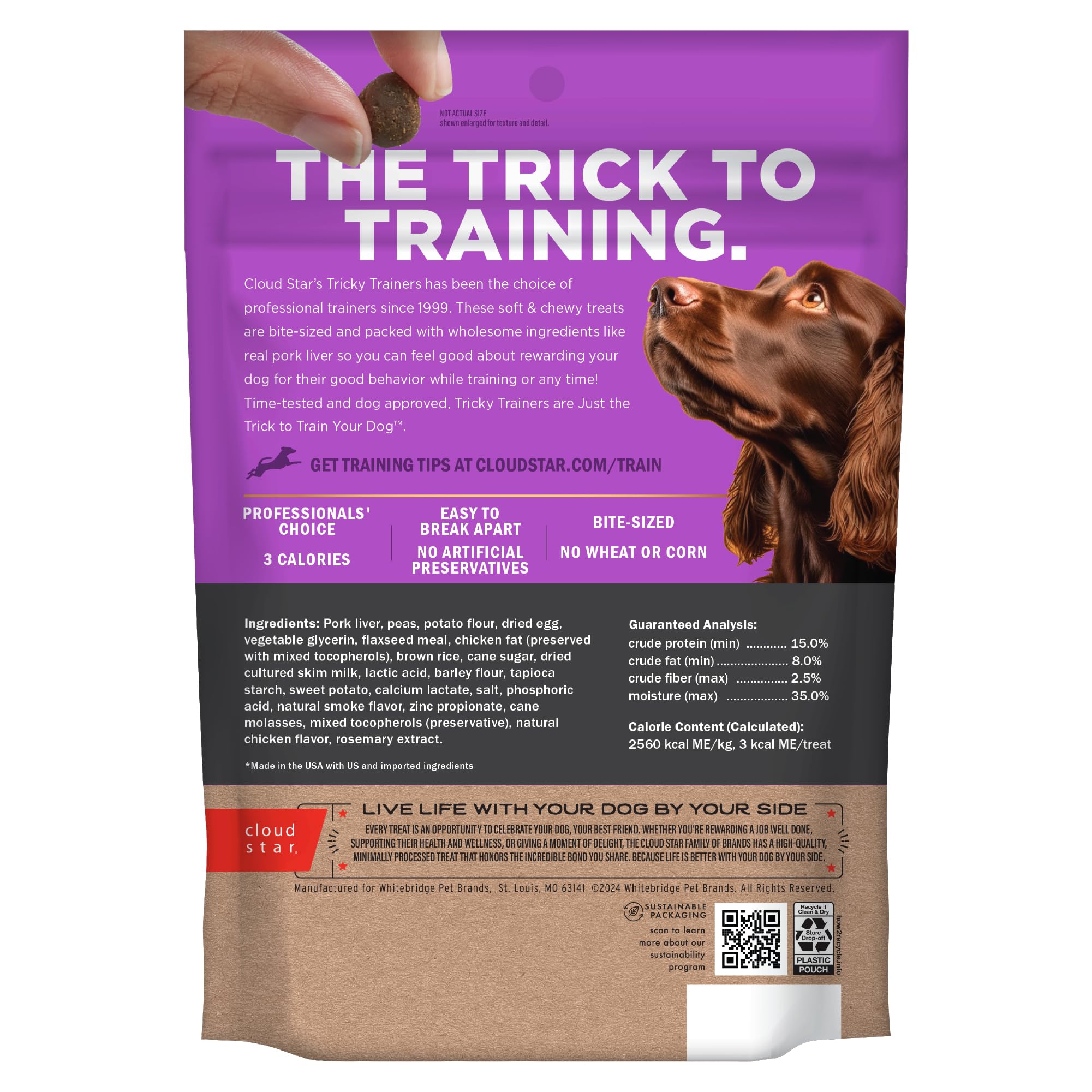 Cloud Star Tricky Trainers Liver Flavor Soft & Chewy Dog Treats 14 oz - Low Calorie Training Aid, 360 Treats