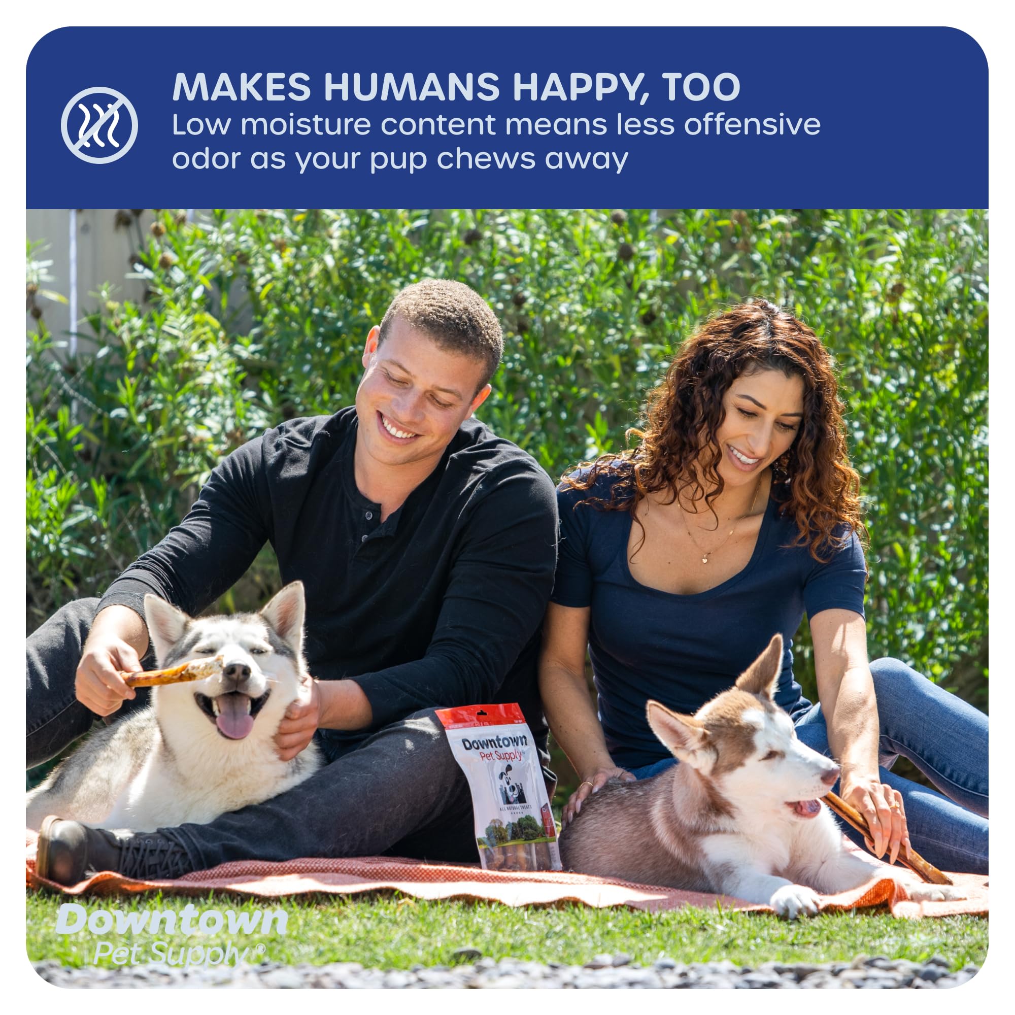 Downtown Pet Supply USA-Made 12, 1 Lb. Jumbo Bully Sticks for Large Dogs - Rawhide Free Dog Chews Long Lasting and Non-Splinteri