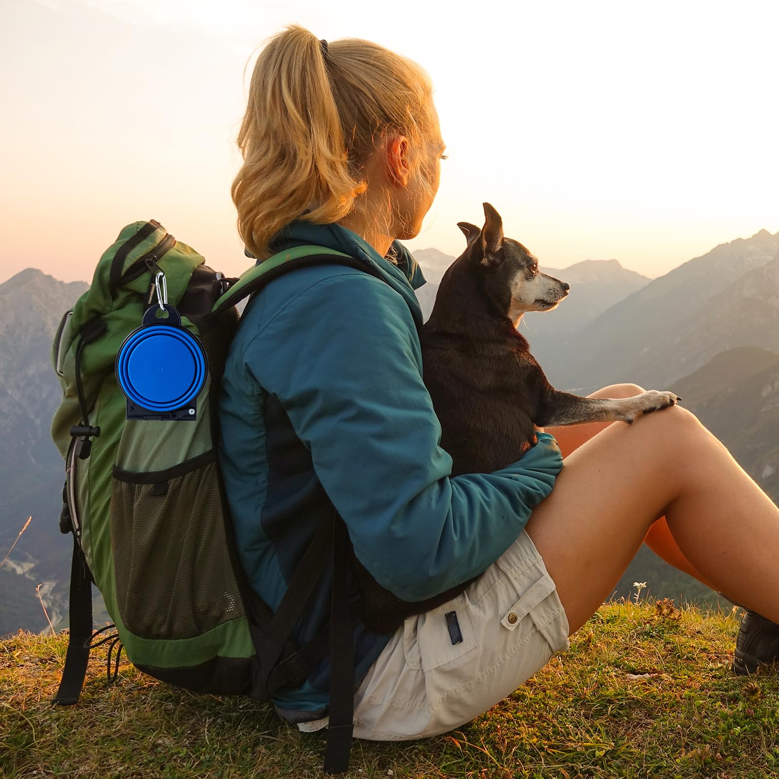 SLSON Collapsible Dog Dual Bowls Reinforced Rim 180 Degrees Flip Over Foldable Double Bowl with Lock Clips More Stable Dog Trave