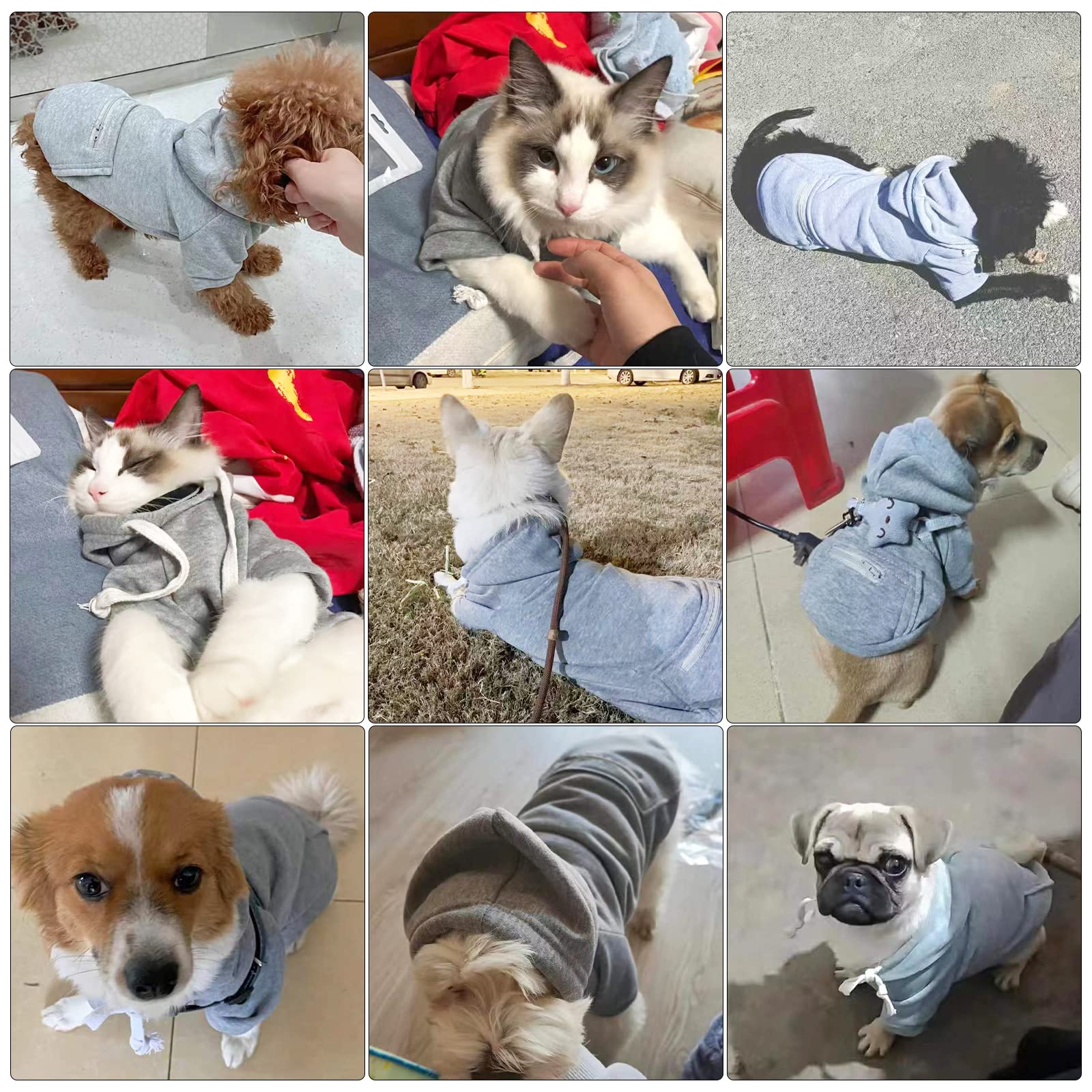 Petcare Grey Winter Dog Sweater - Soft Fleece Hooded Sweatshirt With Pocket - Small Dog Clothes For Chihuahua, Yorkies, French B
