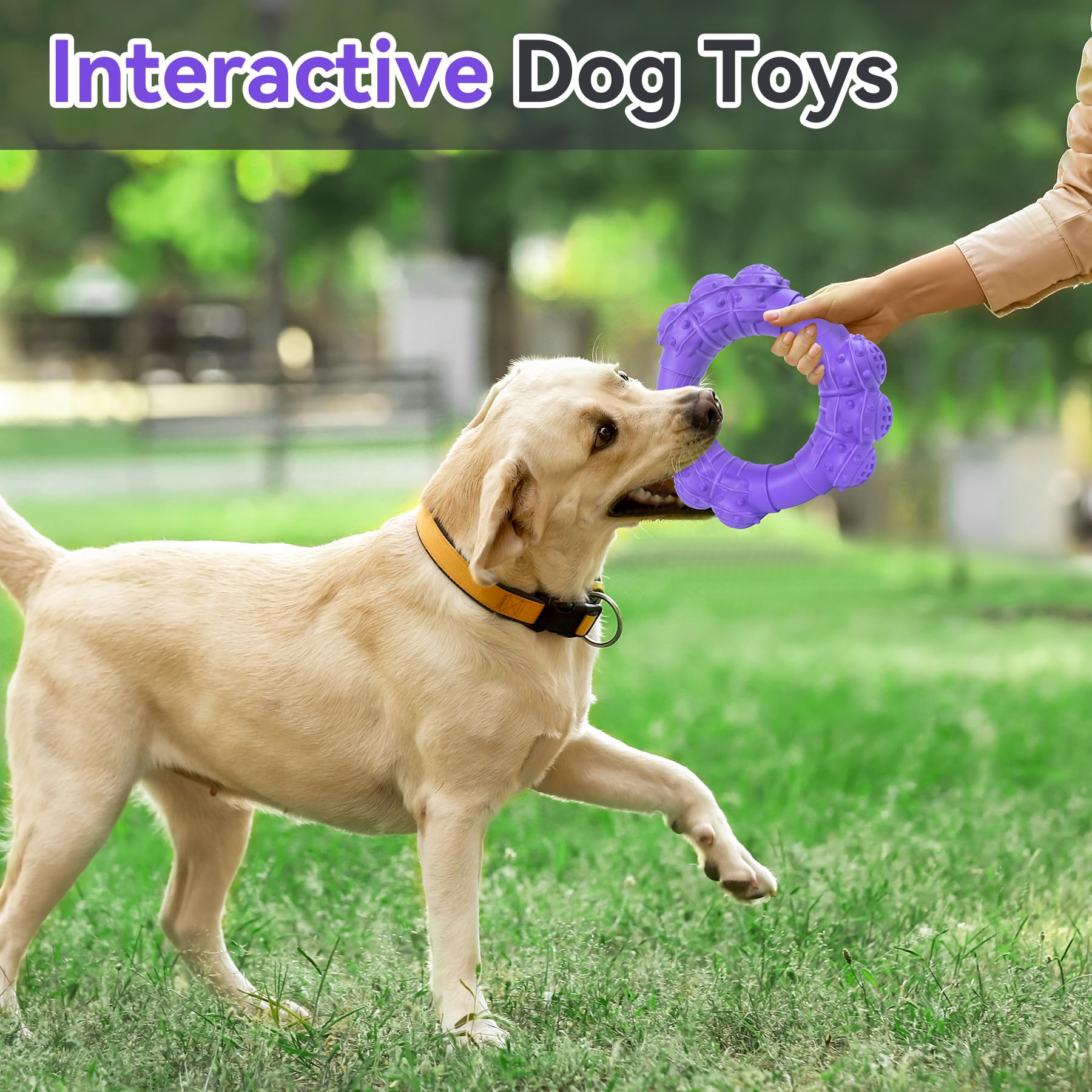 DAOZIJI Indestructible Dog Chew Toys for Aggressive Chewers, Super Chewer Toys for Medium Large Dogs, Interactive Ring Toy, Heav