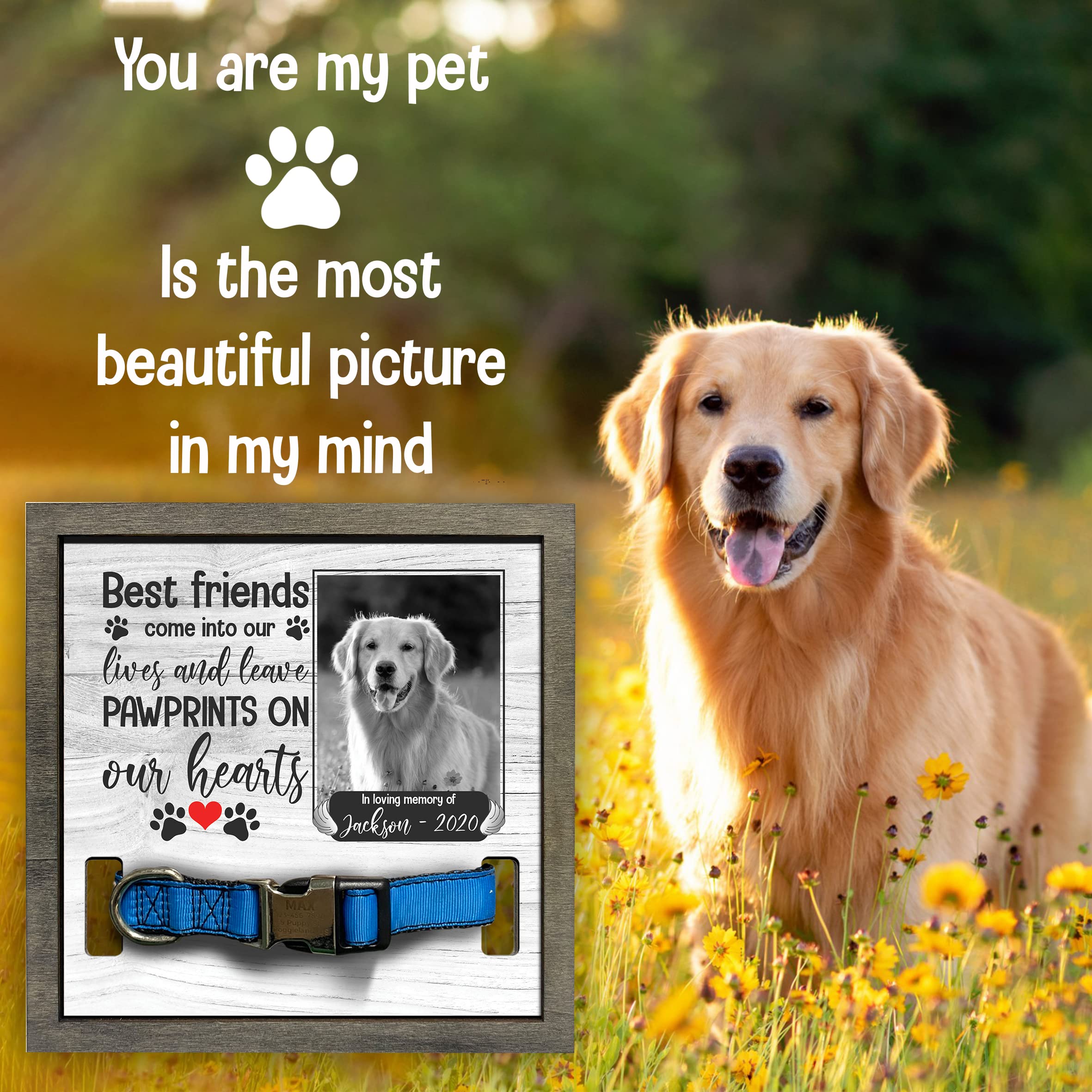 Bfigift Customized Pet Sympathy Gifts Deceased Pet Picture Frame Losing A Dog Home Wall Art Decor Personalized Bereavement Frame Sign Gifts For Him Her Sentimental Quote Memorial Pet Tribute Keepsake