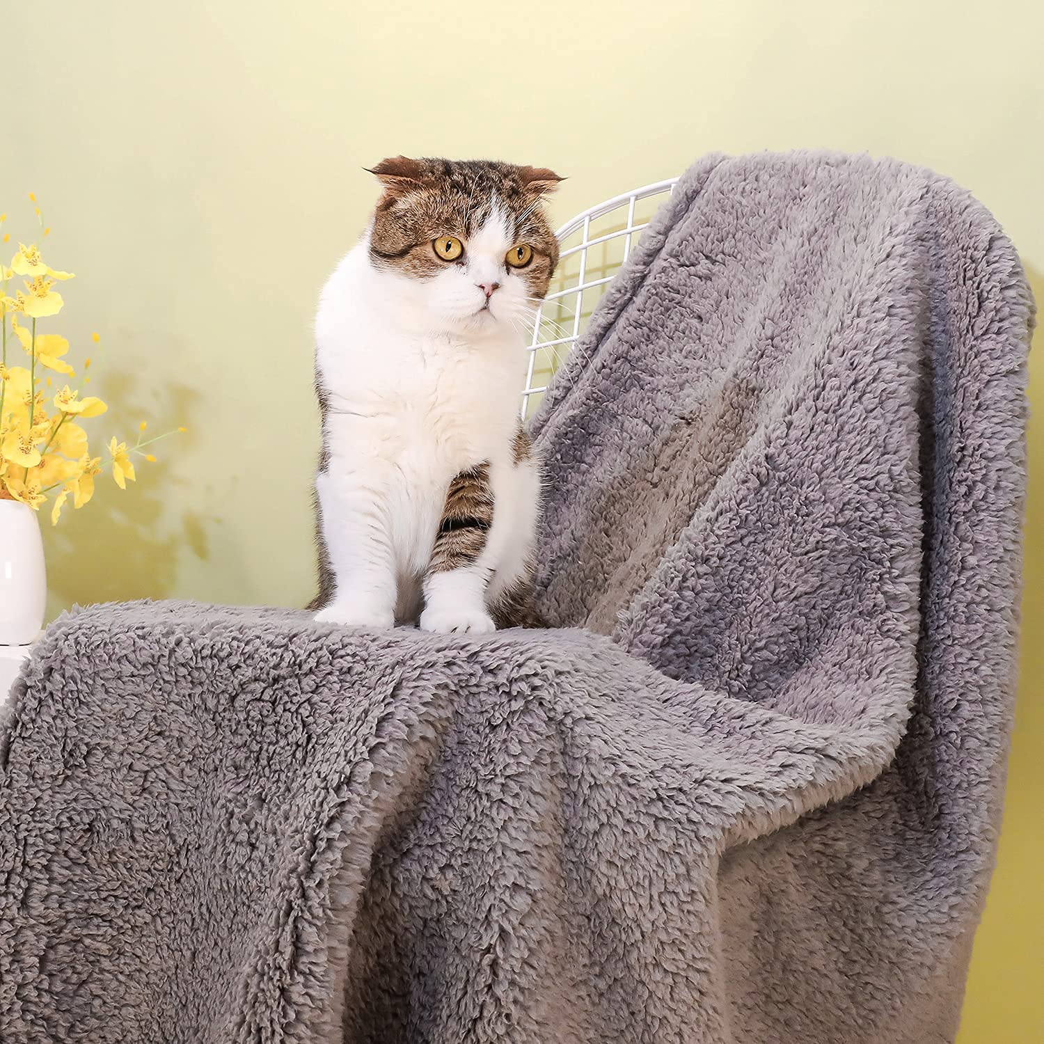 Xinsource 2 Packdog Blanket For Large Size Dogs Cats Soft Sherpa Fleece Pet Blanket Throw For Sofa, Couch Thick Durable Pet Bed