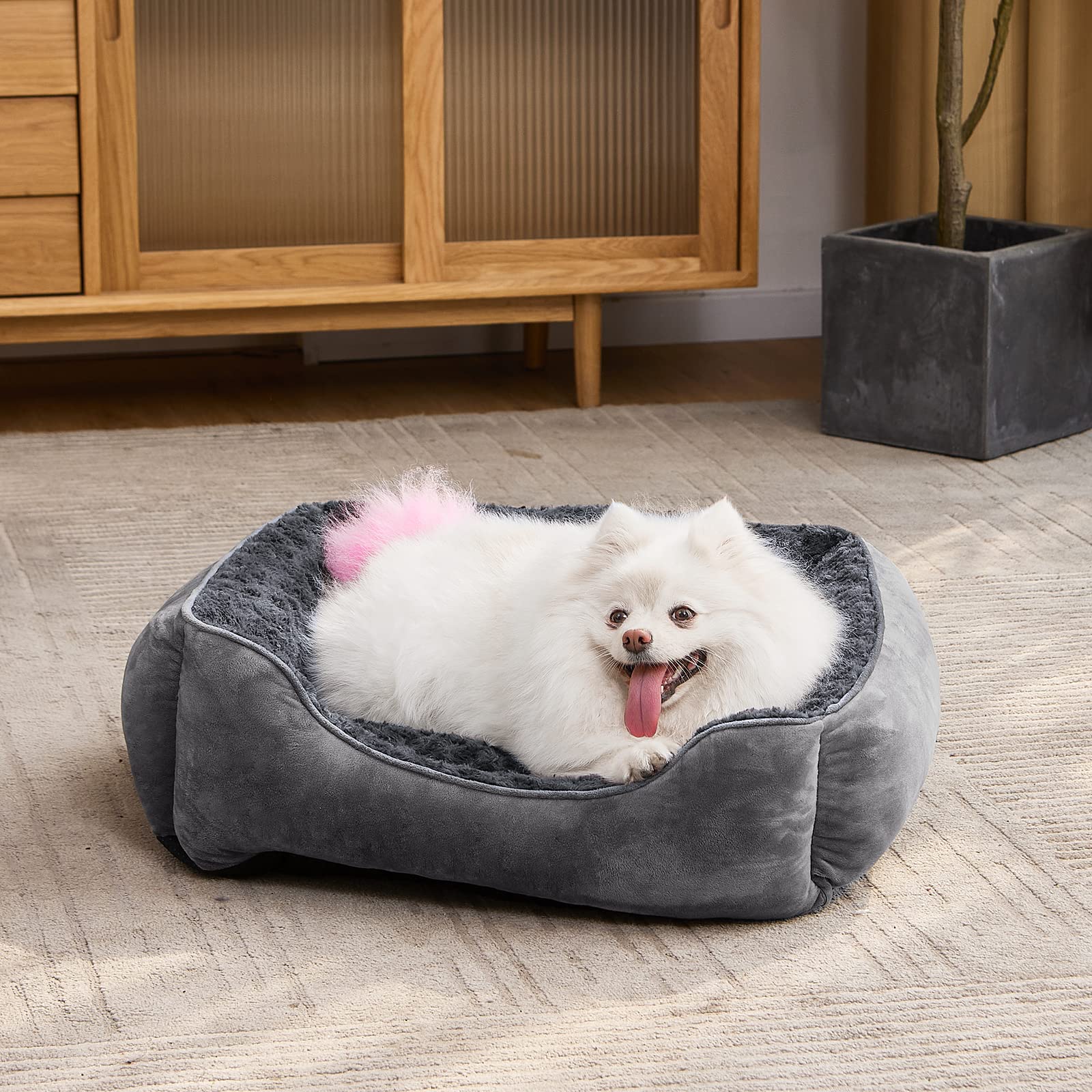 JOEJOY Dog Bed - Orthopedic Suede Sofa for Large/Medium/Small Dogs, XXL (42"x30"x10"), Grey, Machine Washable, Non-Slip Bottom
