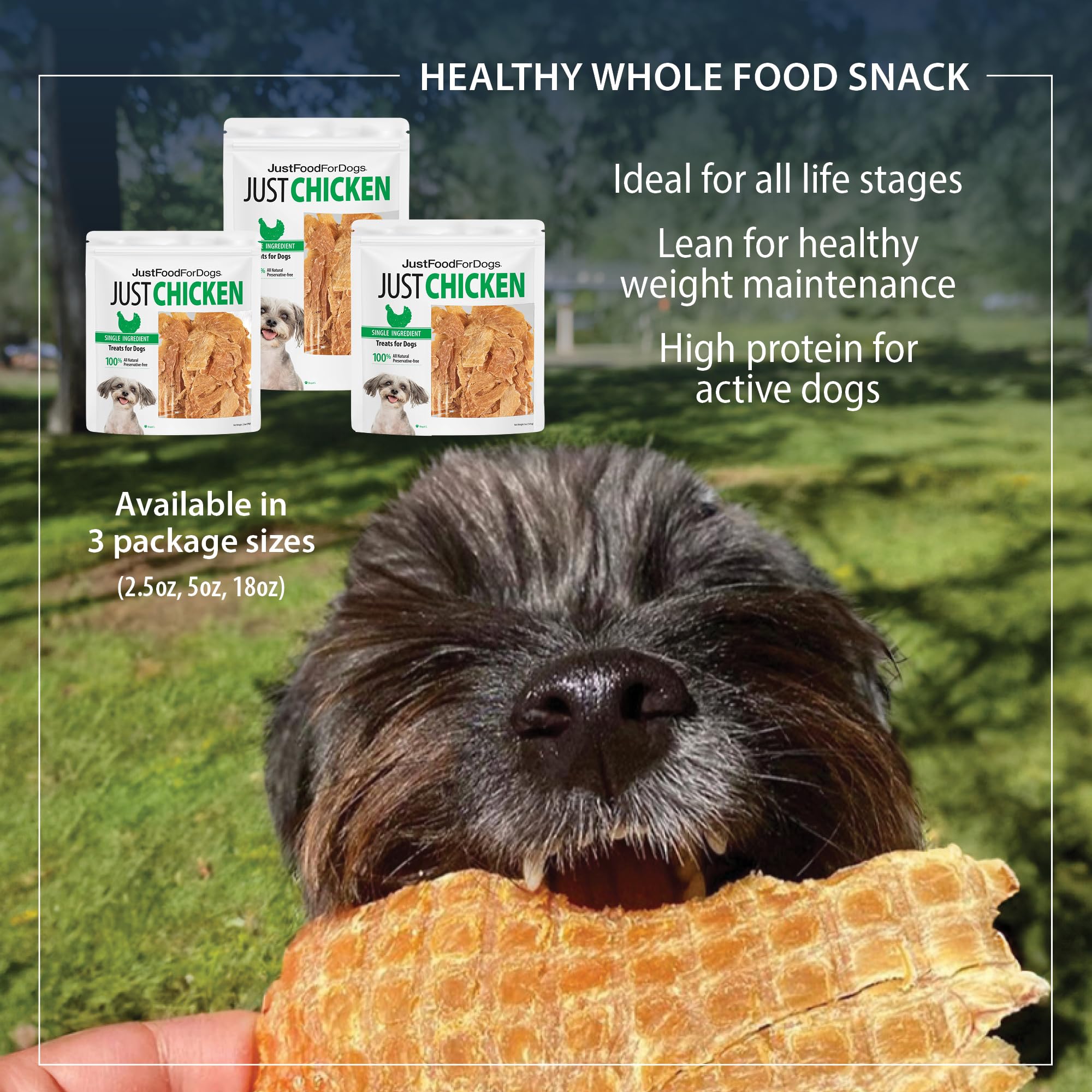 JustFoodForDogs Healthy Dog Treats, Single-Ingredient, Chicken Breast, 2.5 oz (Pack of 4)