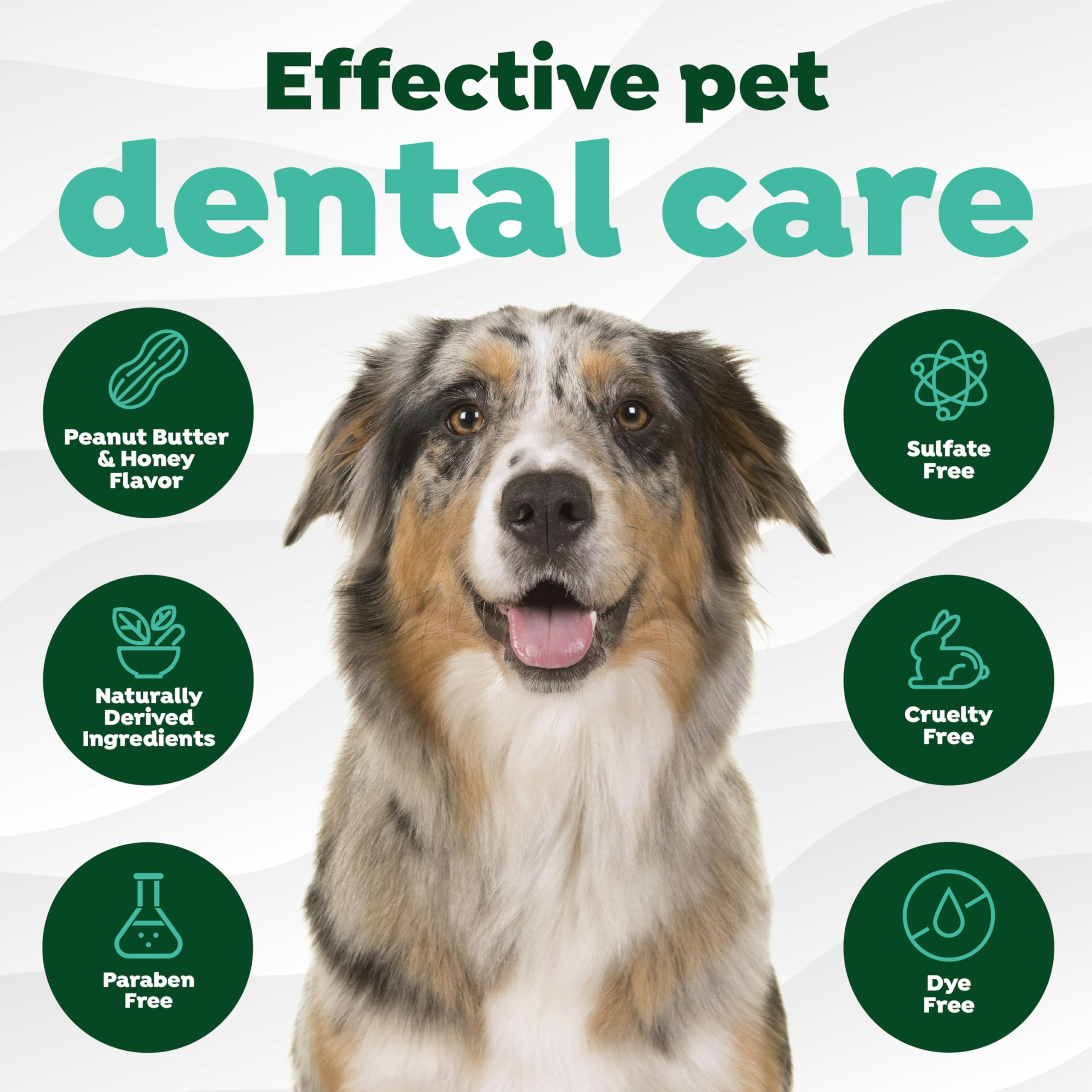 Tropiclean Fresh Breath - Kong Dental Ball For Medium Dogs - Dog Teeth Cleaning Kit - Removes Plaque - Peanut Butter & Honey Dog