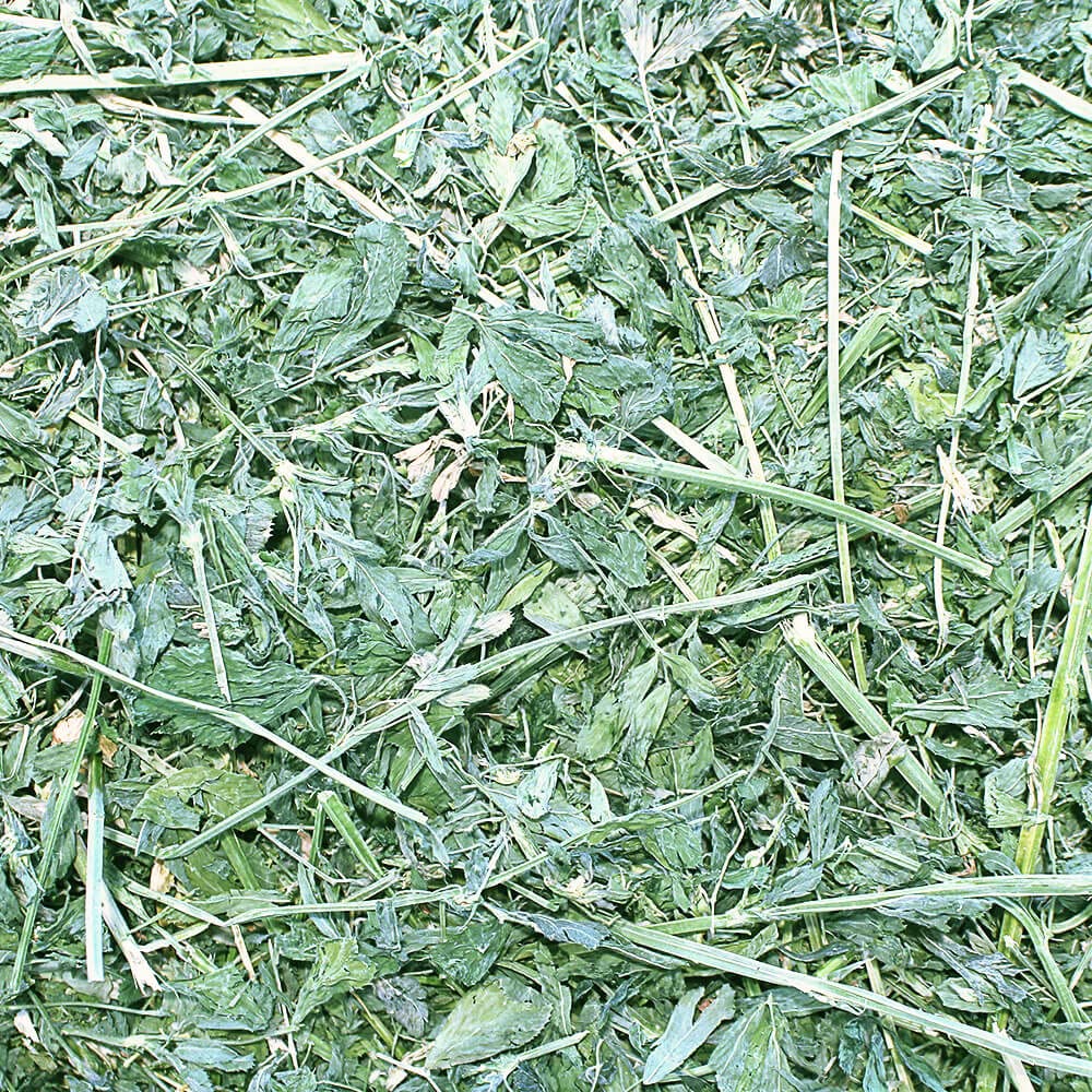 Grandpas Best Alfalfa Hay for Rabbits, Guinea Pigs, Chinchillas, Hamsters & Gerbils, 10lb Loose Boxed