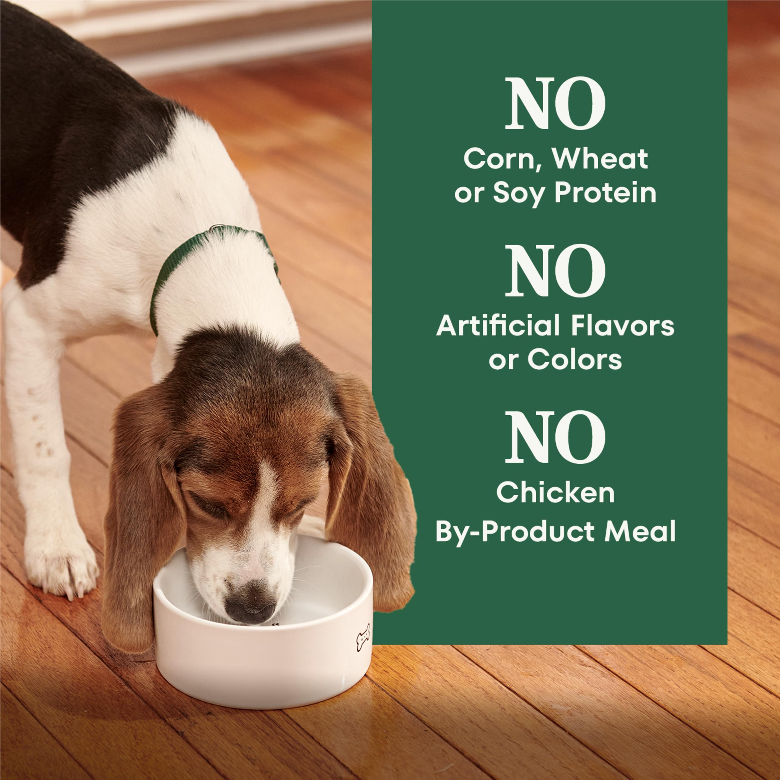 Nutro Natural Choice Puppy Dry Dog Food, Lamb and Brown Rice Recipe, 45 lbs.