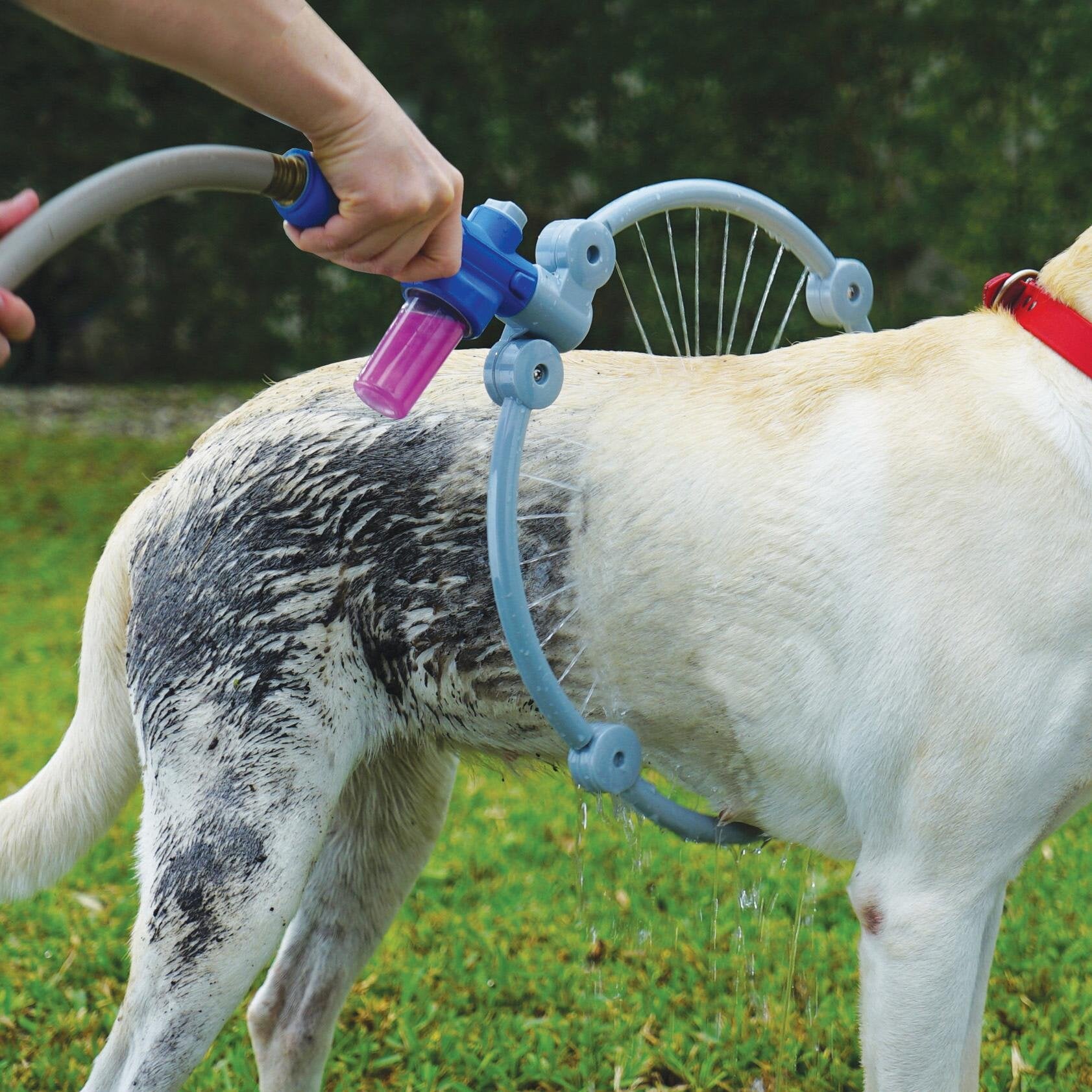 Woof Washer 360 - Perfect Dog Washing Station For Your Dog (1 Pack)